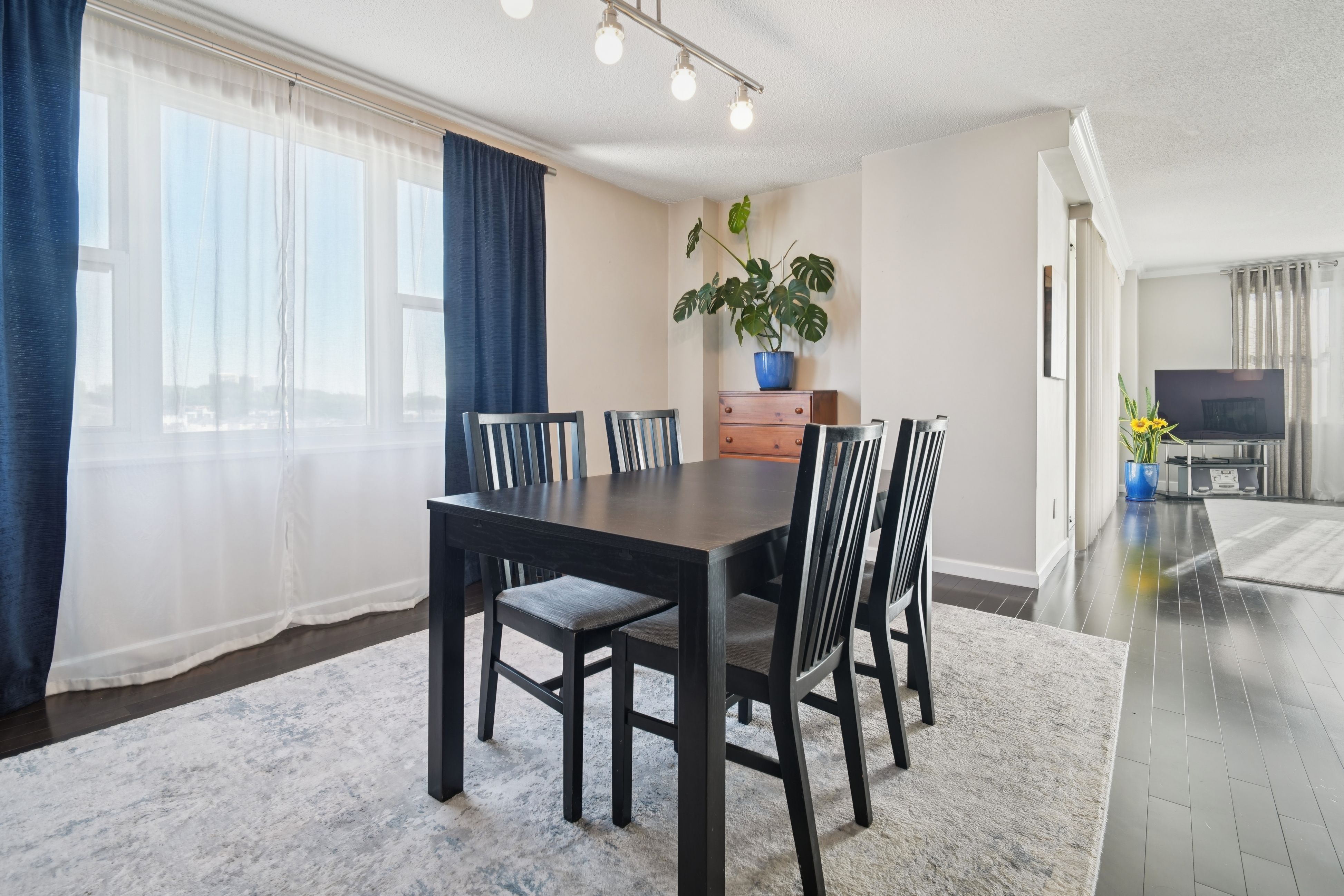 555 North Avenue #6F 
