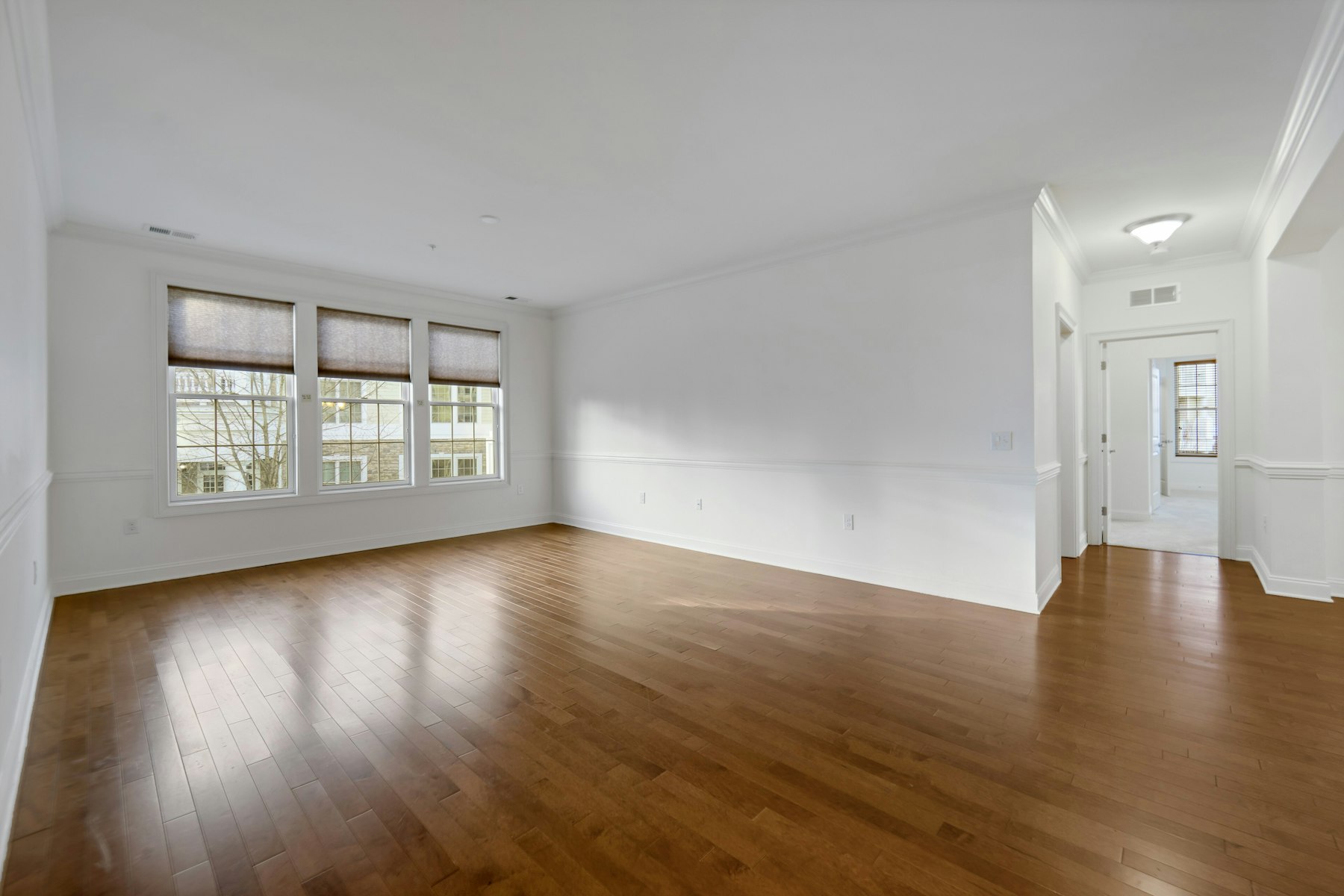 205 Four Seasons Lane 