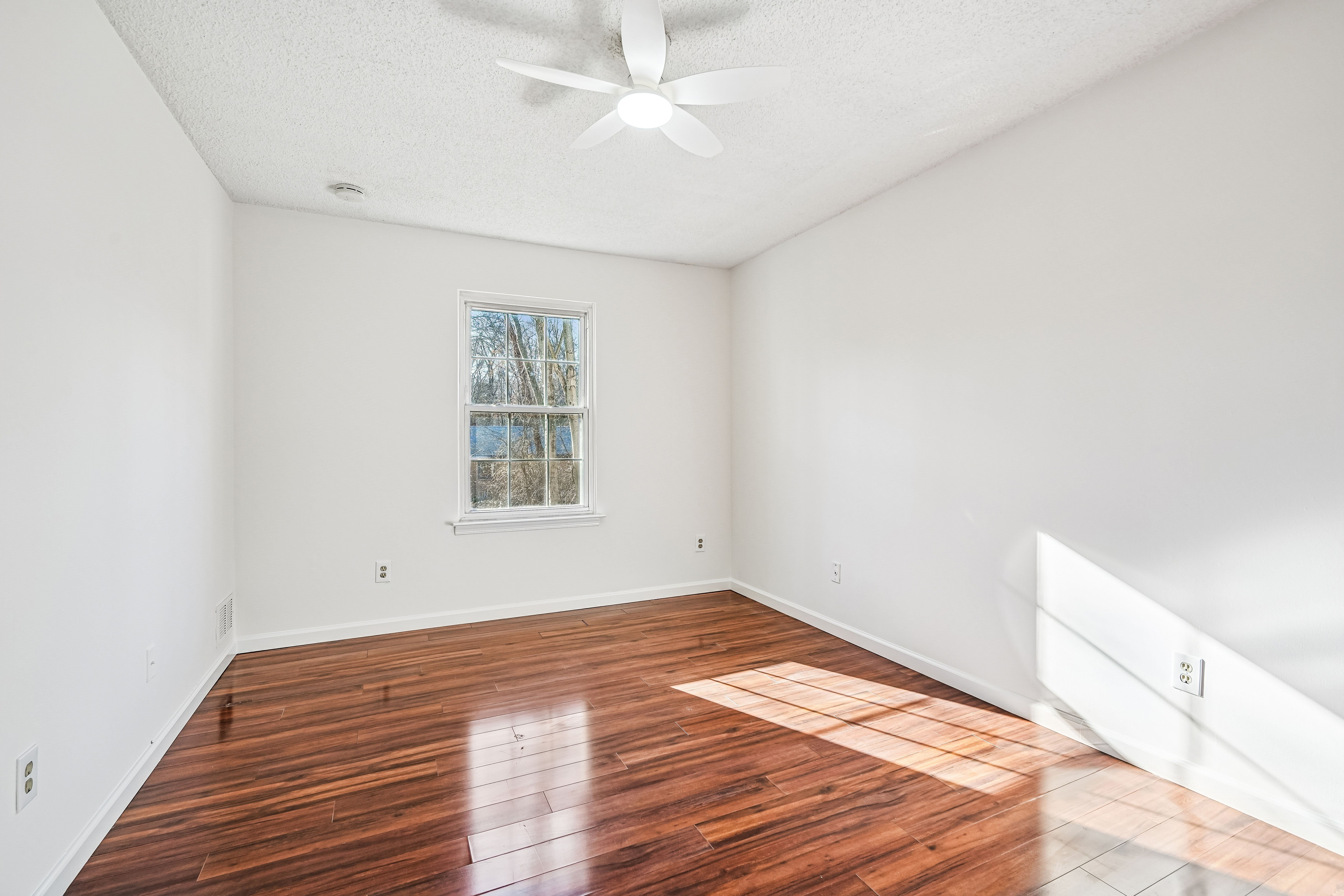135 Raintree Lane 