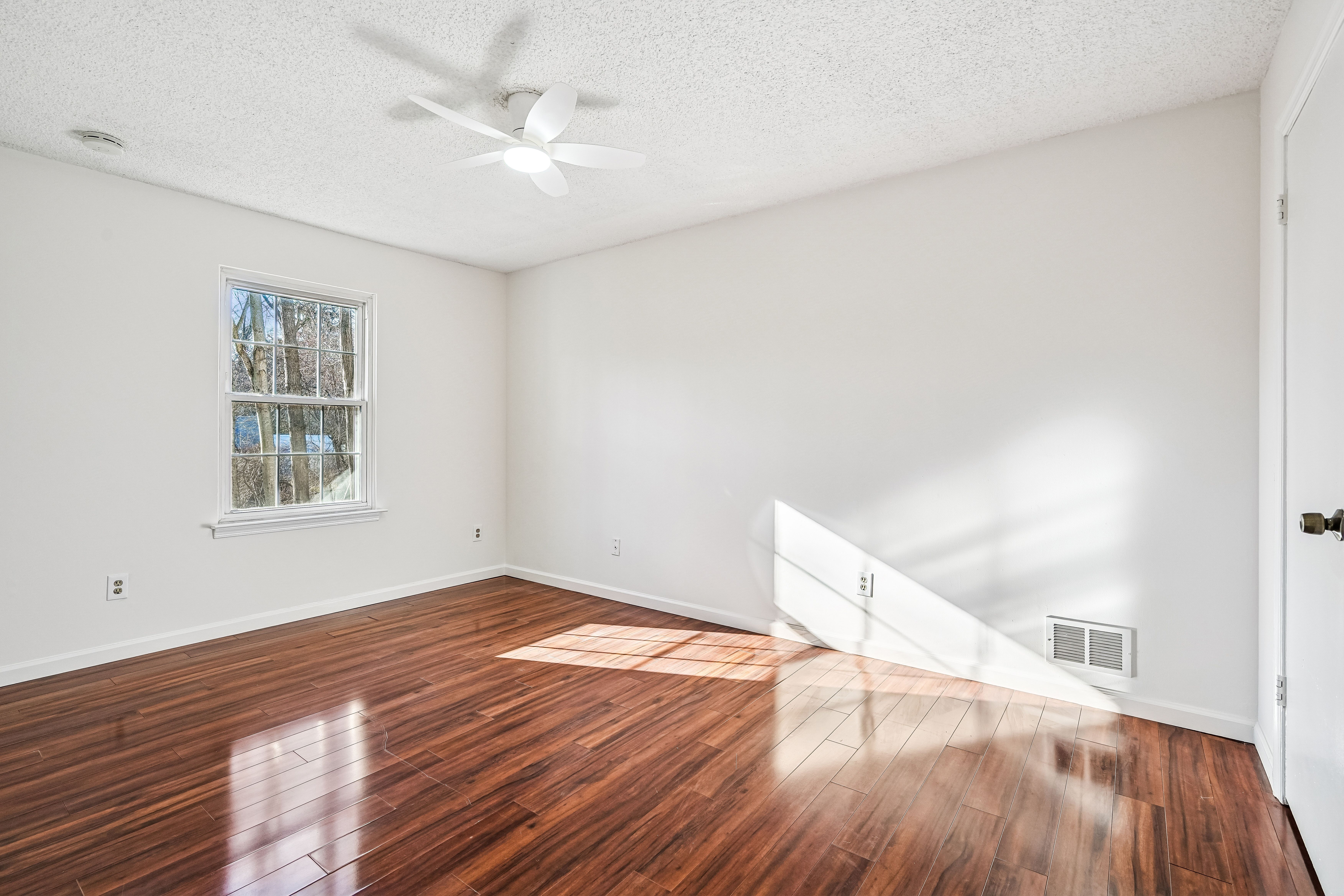 135 Raintree Lane 