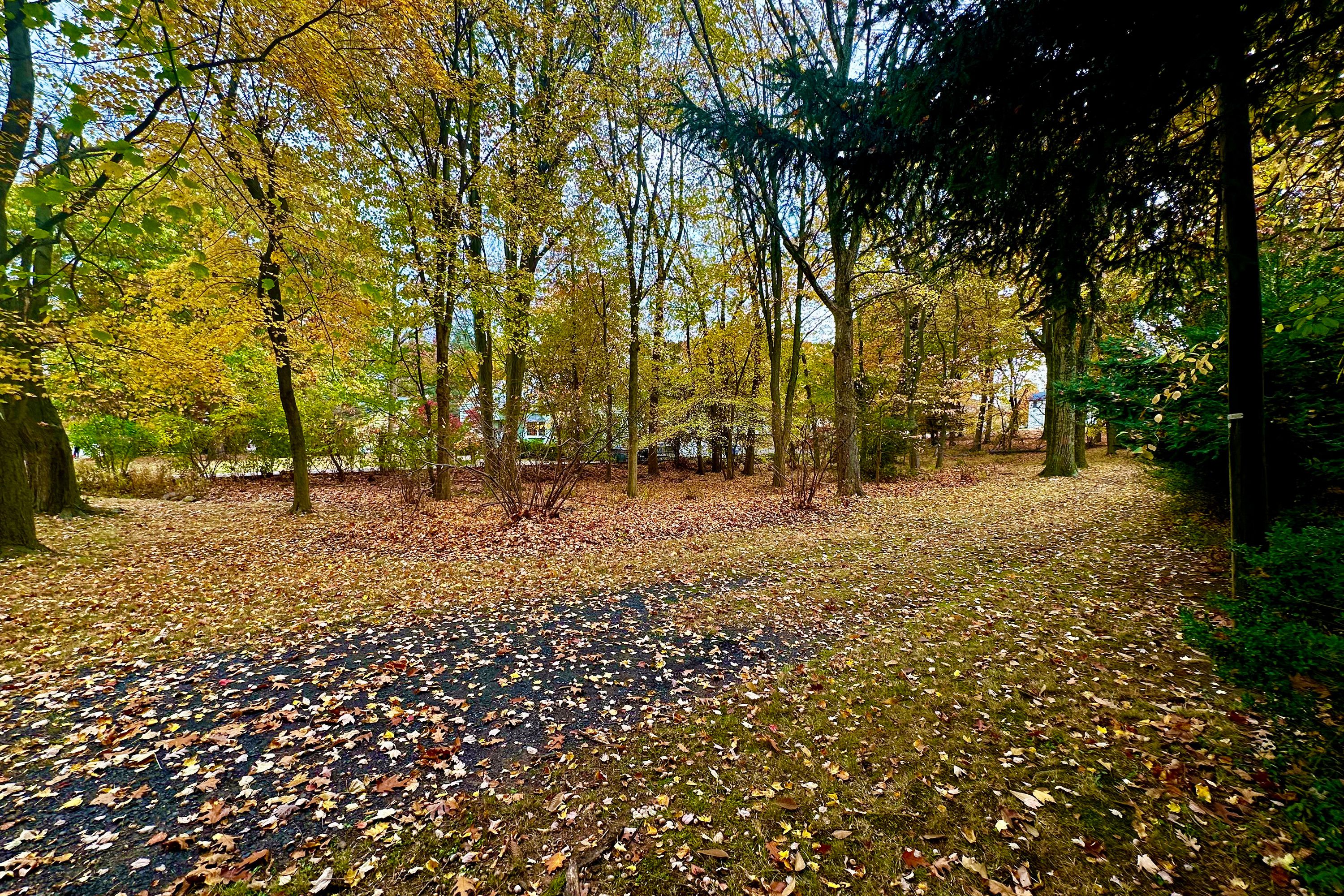 216 E Midland Avenue