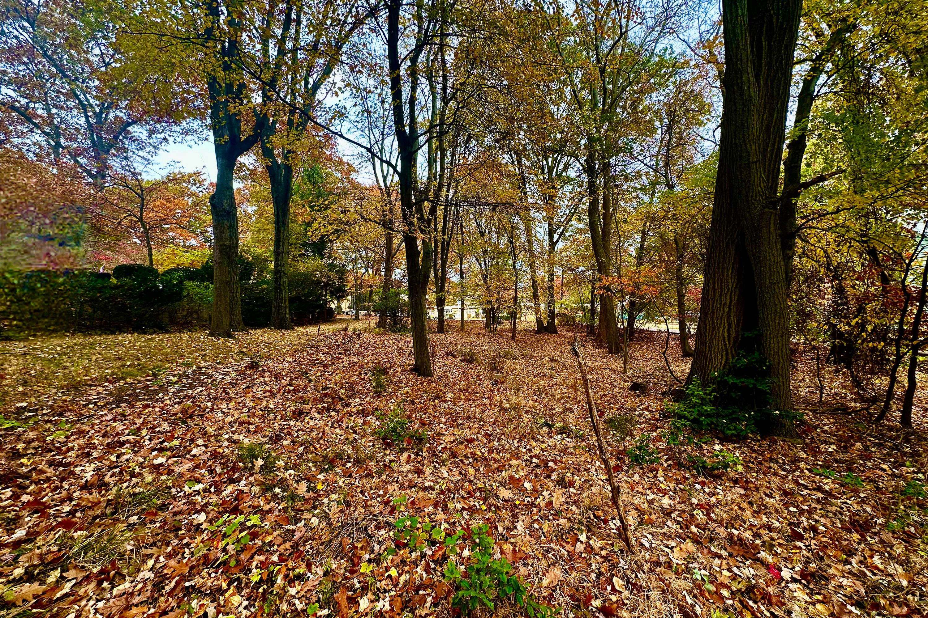 216 E Midland Avenue