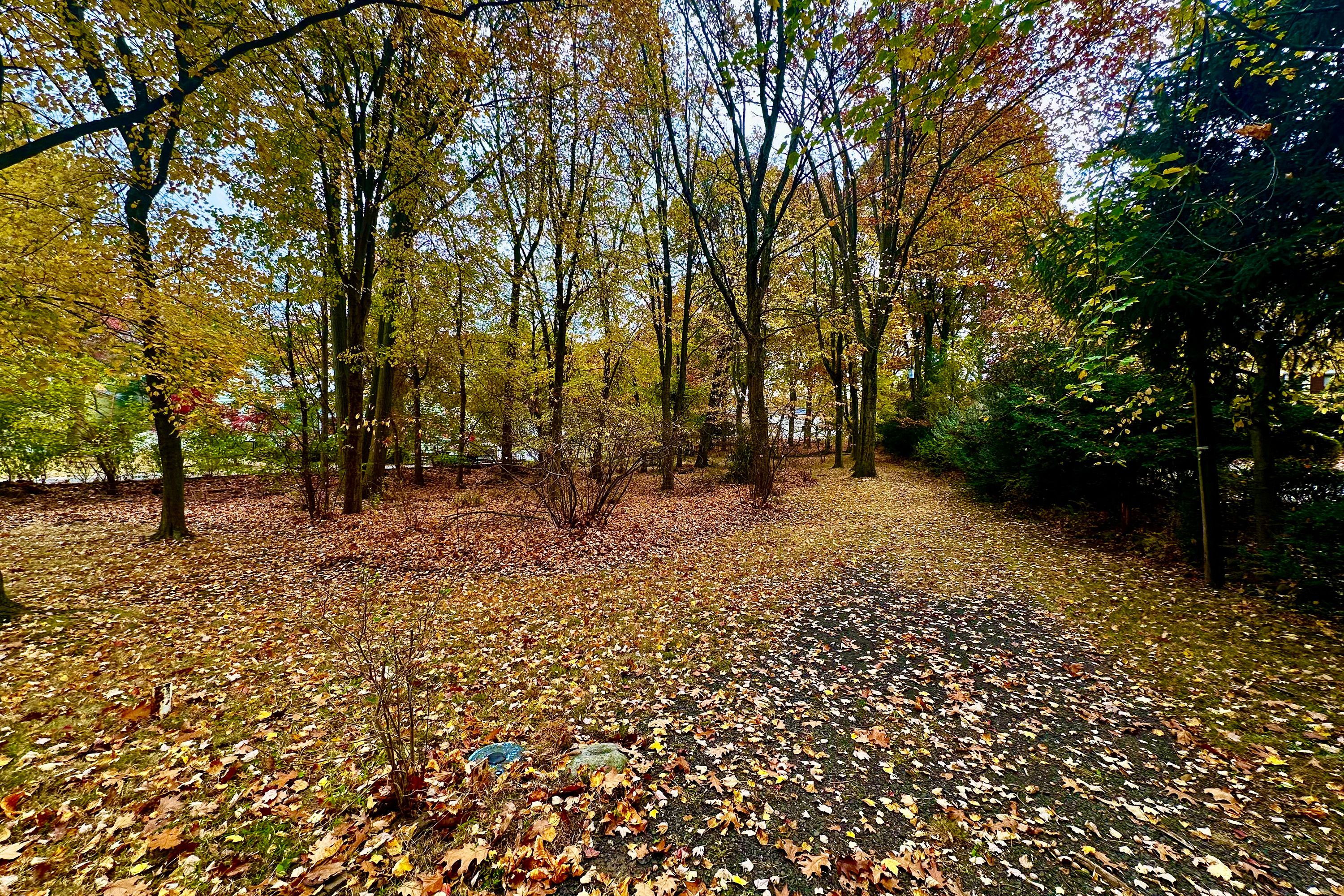 216 E Midland Avenue