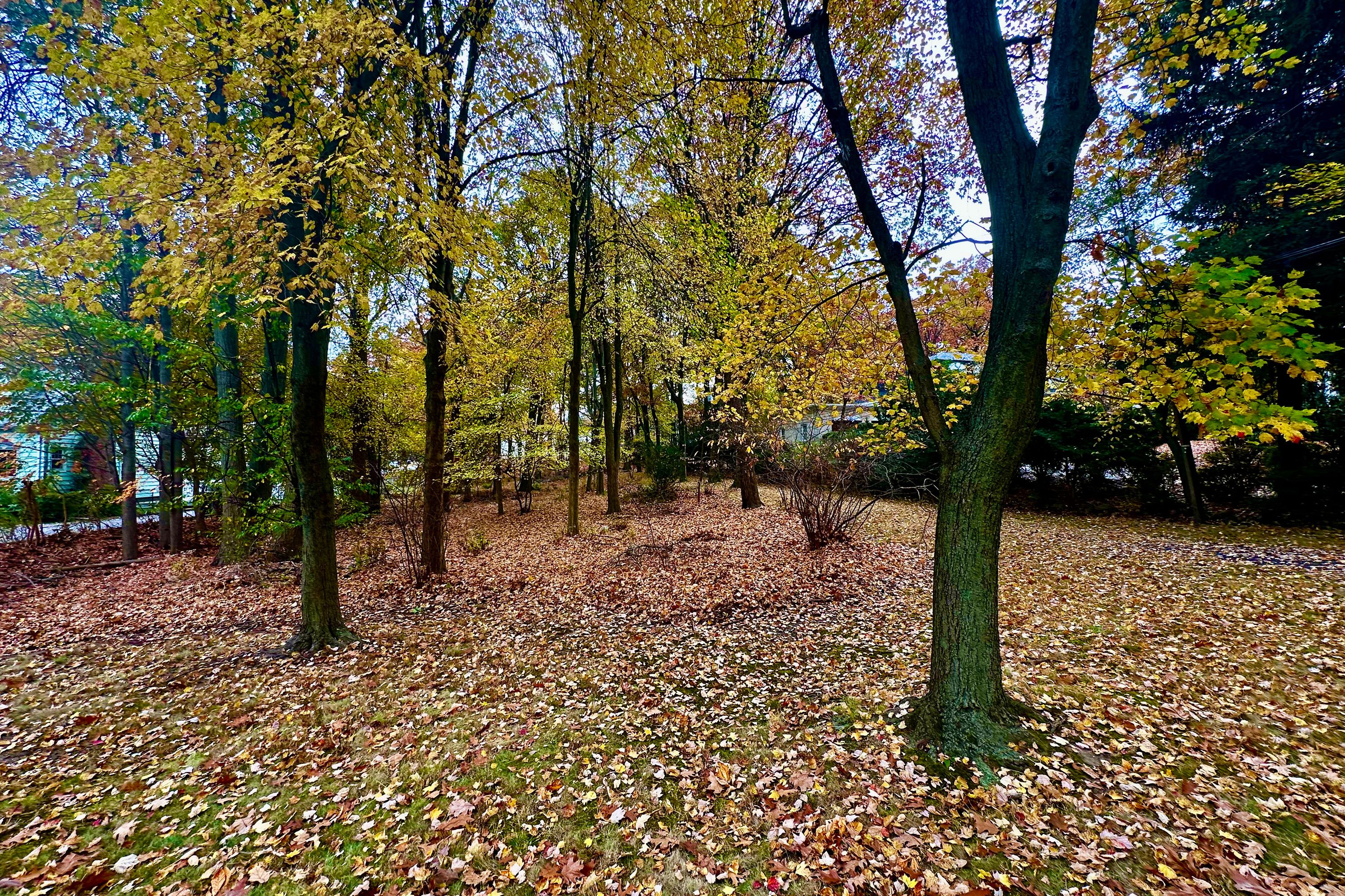 216 E Midland Avenue