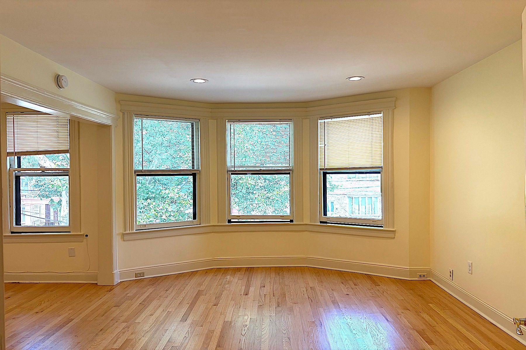 314 Webster Ave  #2 