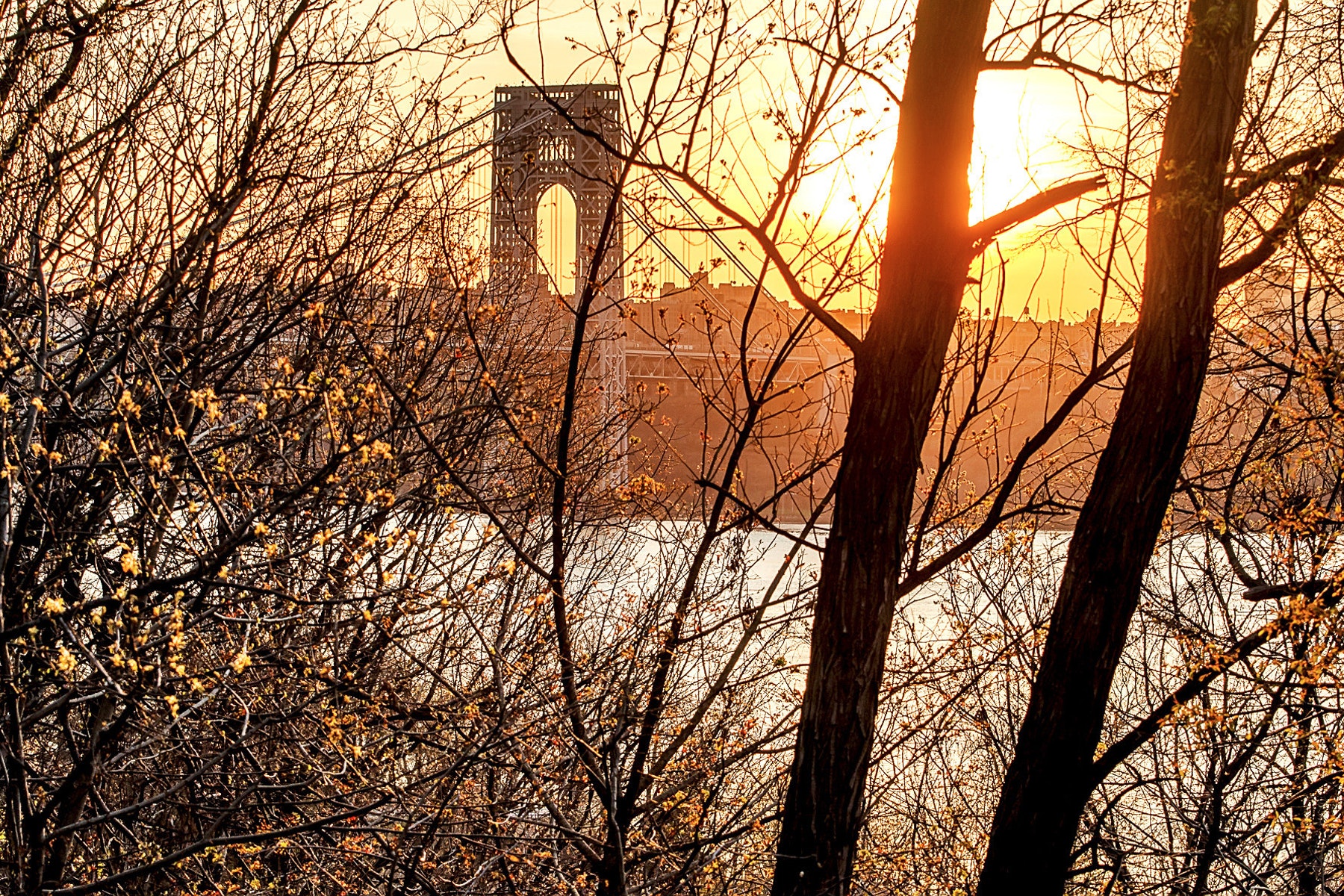 1470 Palisade Terrace 