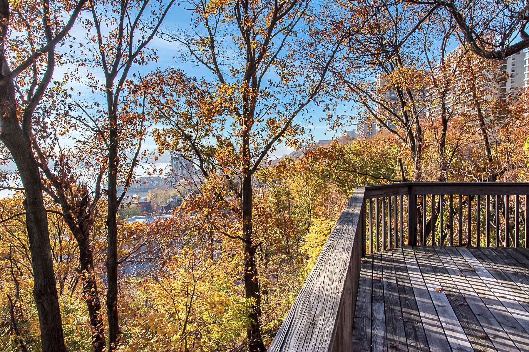 1470 Palisade Terrace 