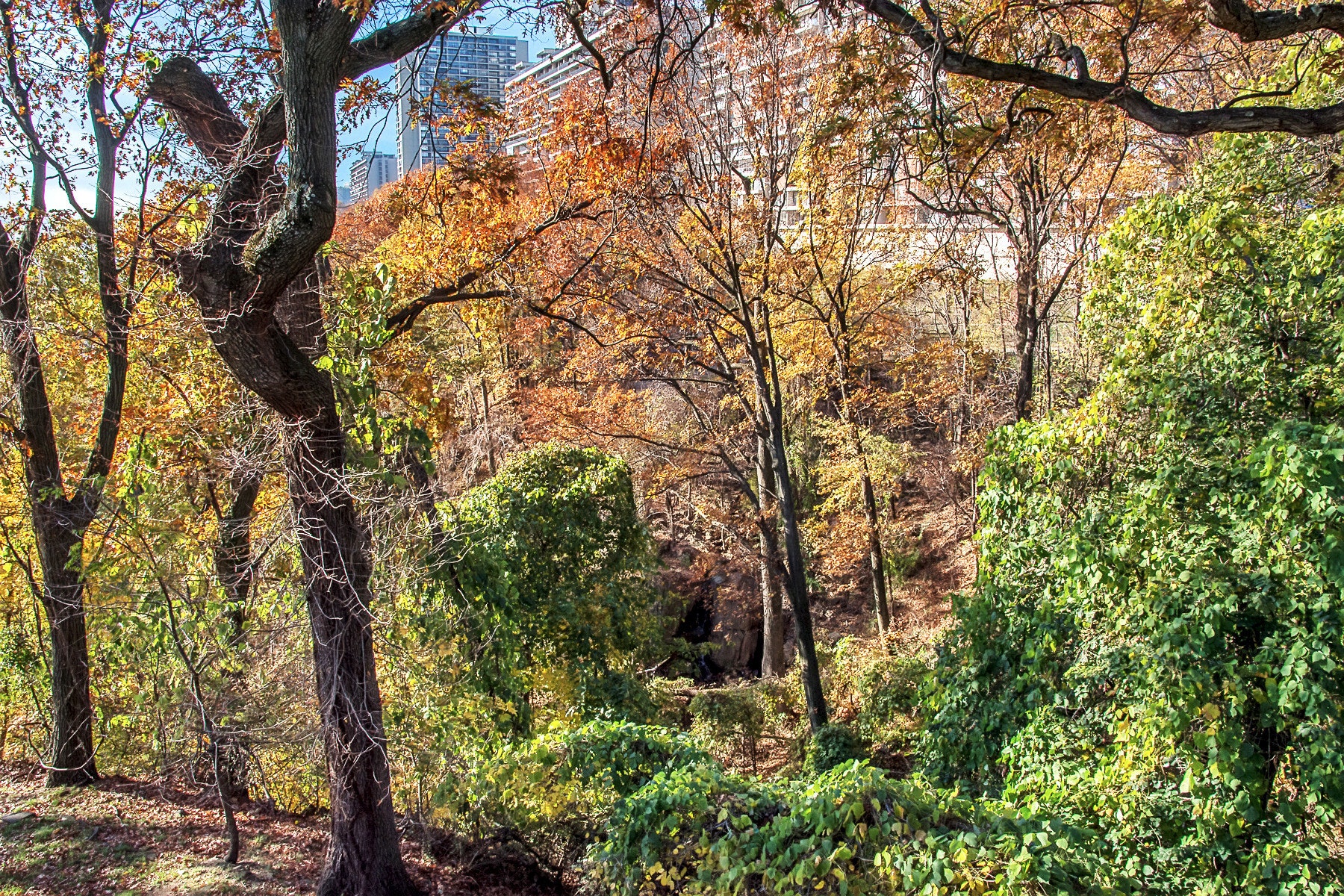 1470 Palisade Terrace 