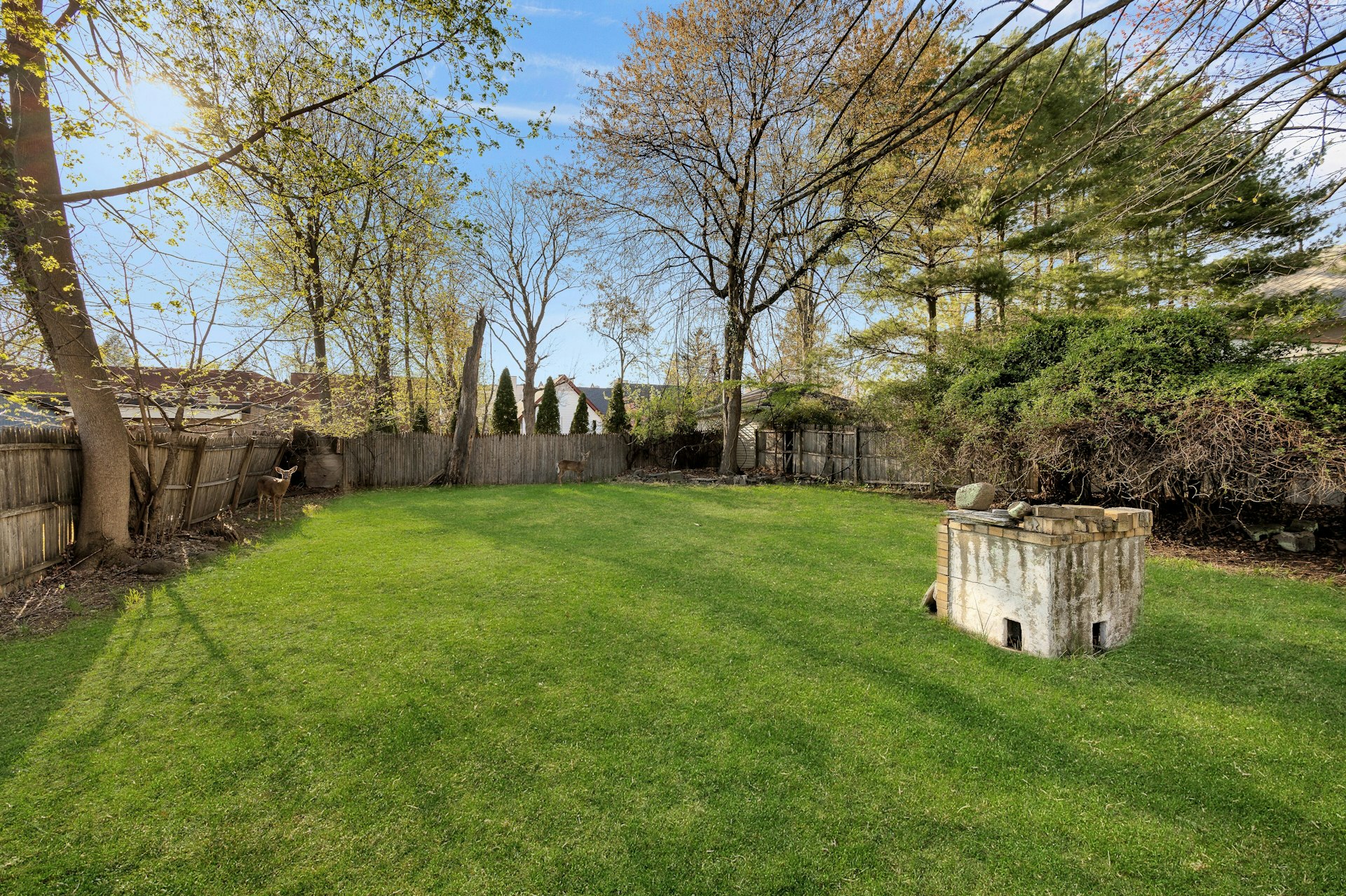460 Orchard Street, Apt 2 