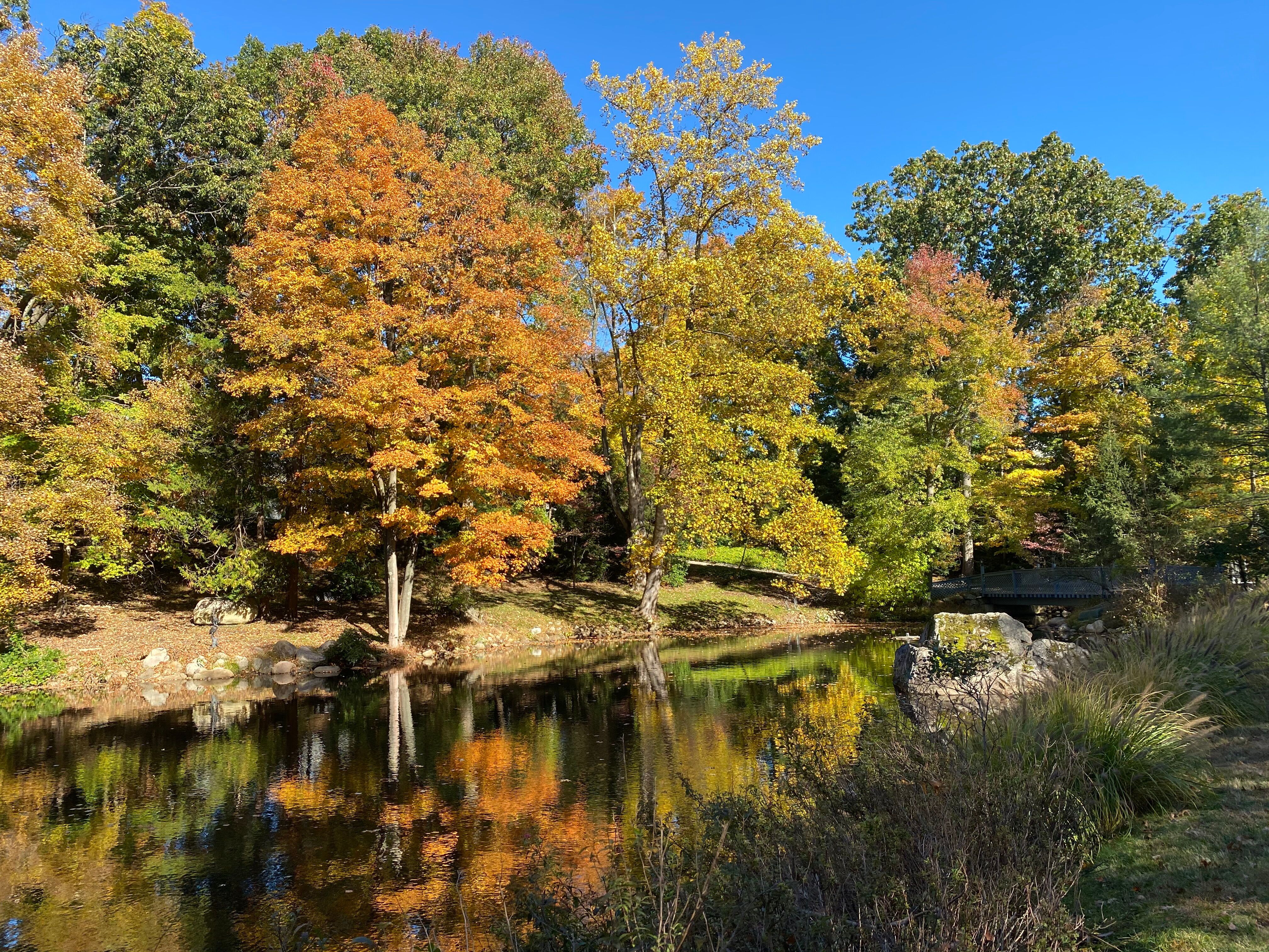 1055 High Mountain Road 
