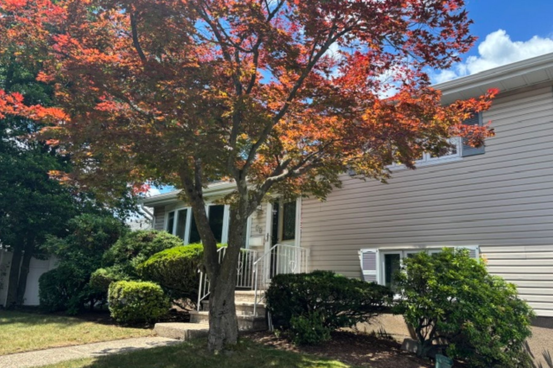 50 Harding Avenue 
