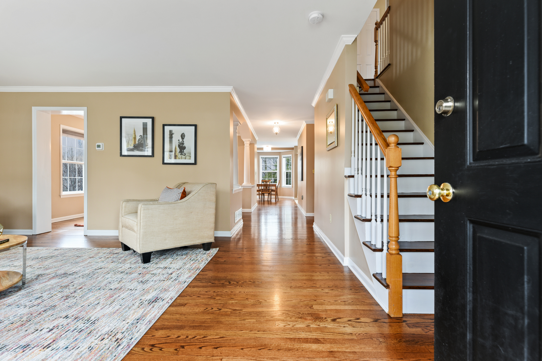 20 Webster Avenue