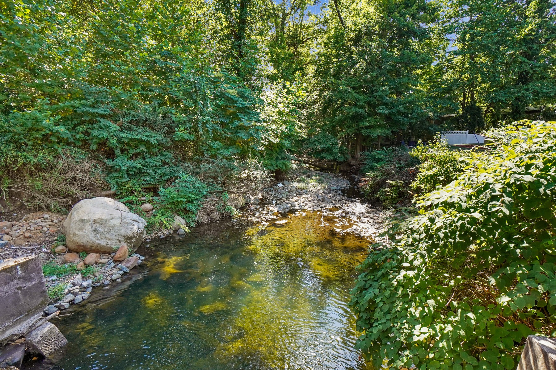 253 Runnymede Road