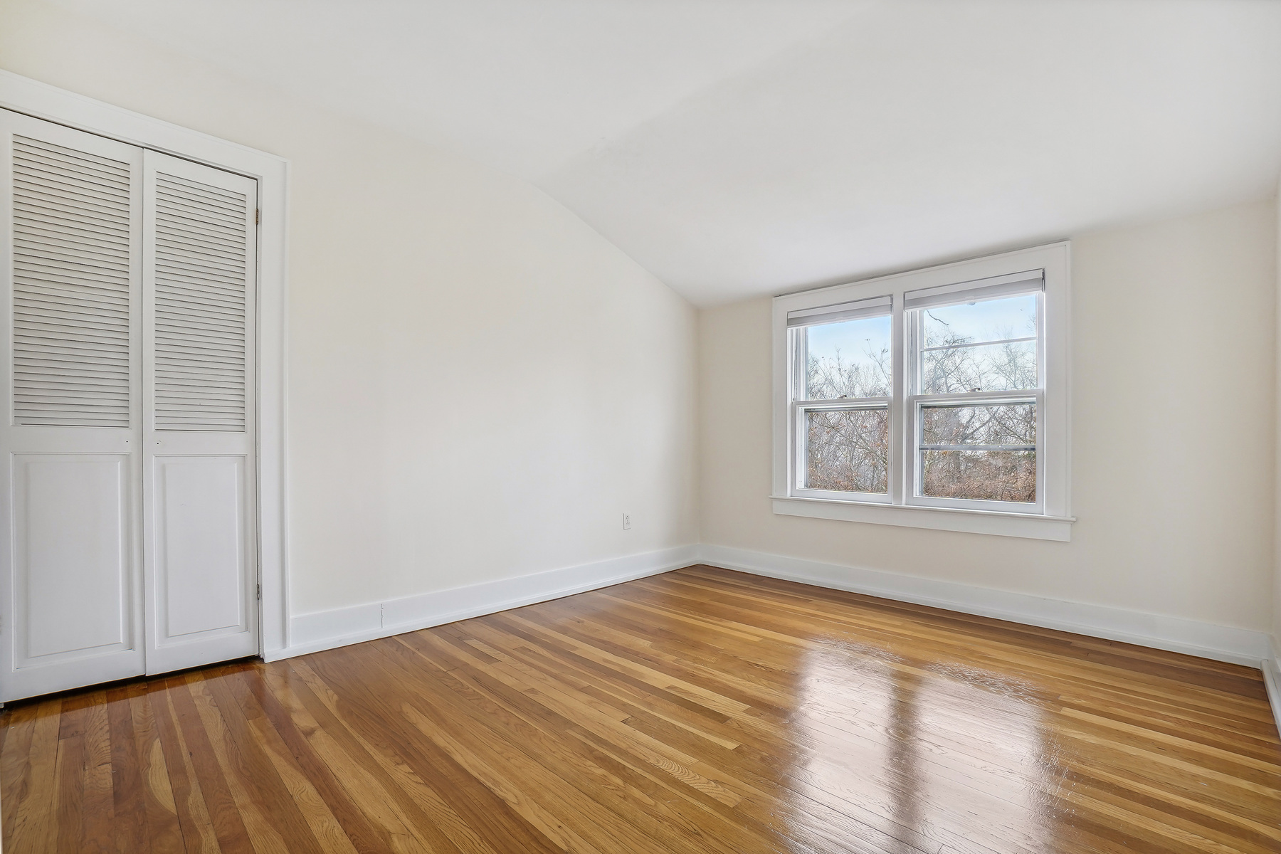 46 Fredonia Road