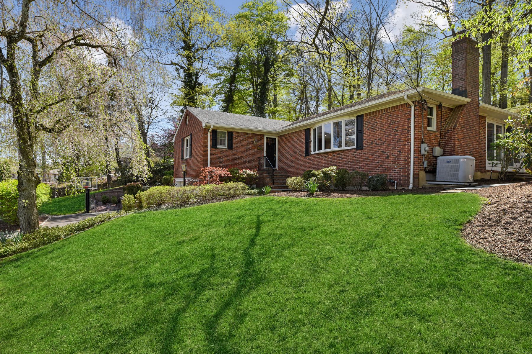 19 Brantwood Drive 