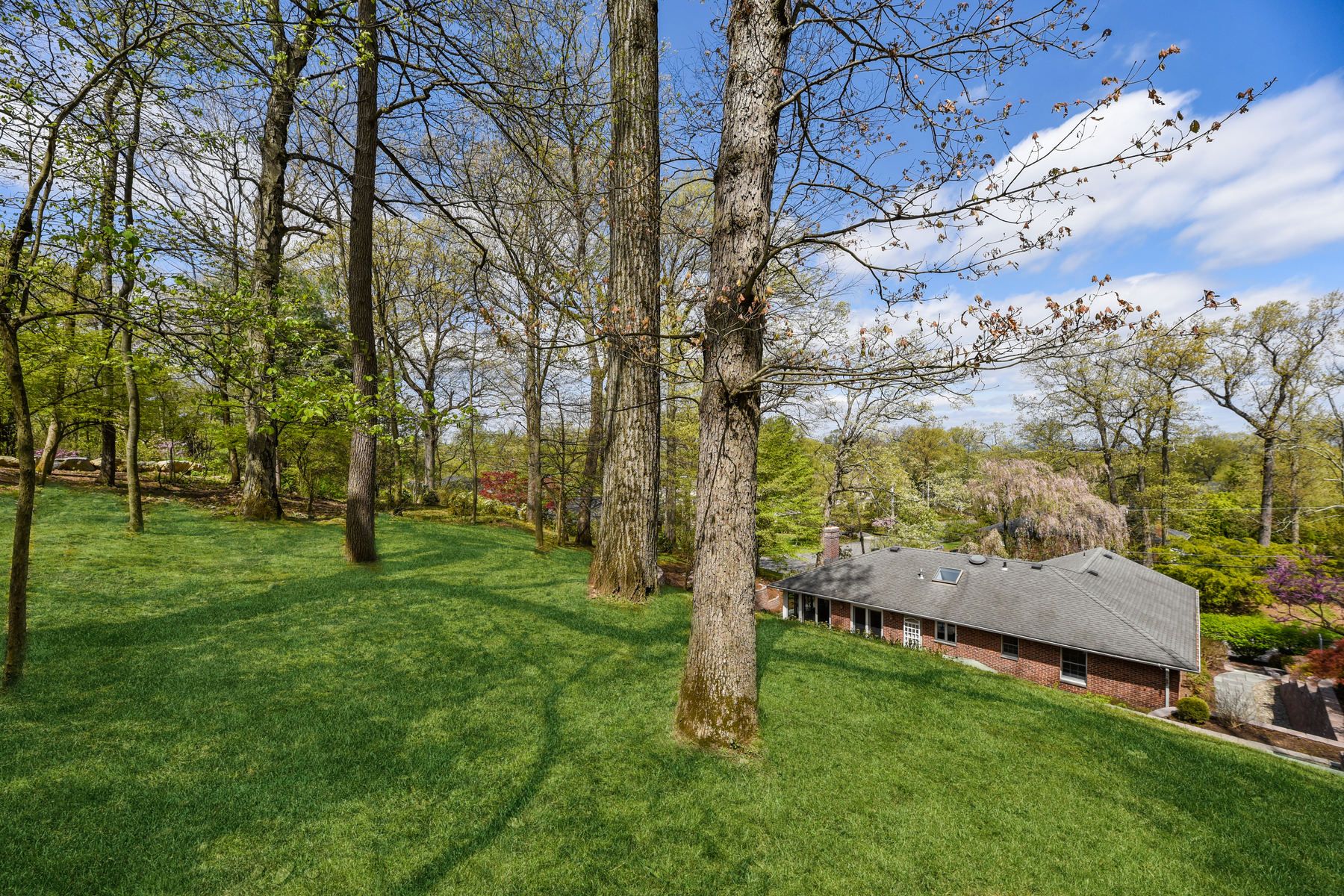 19 Brantwood Drive 