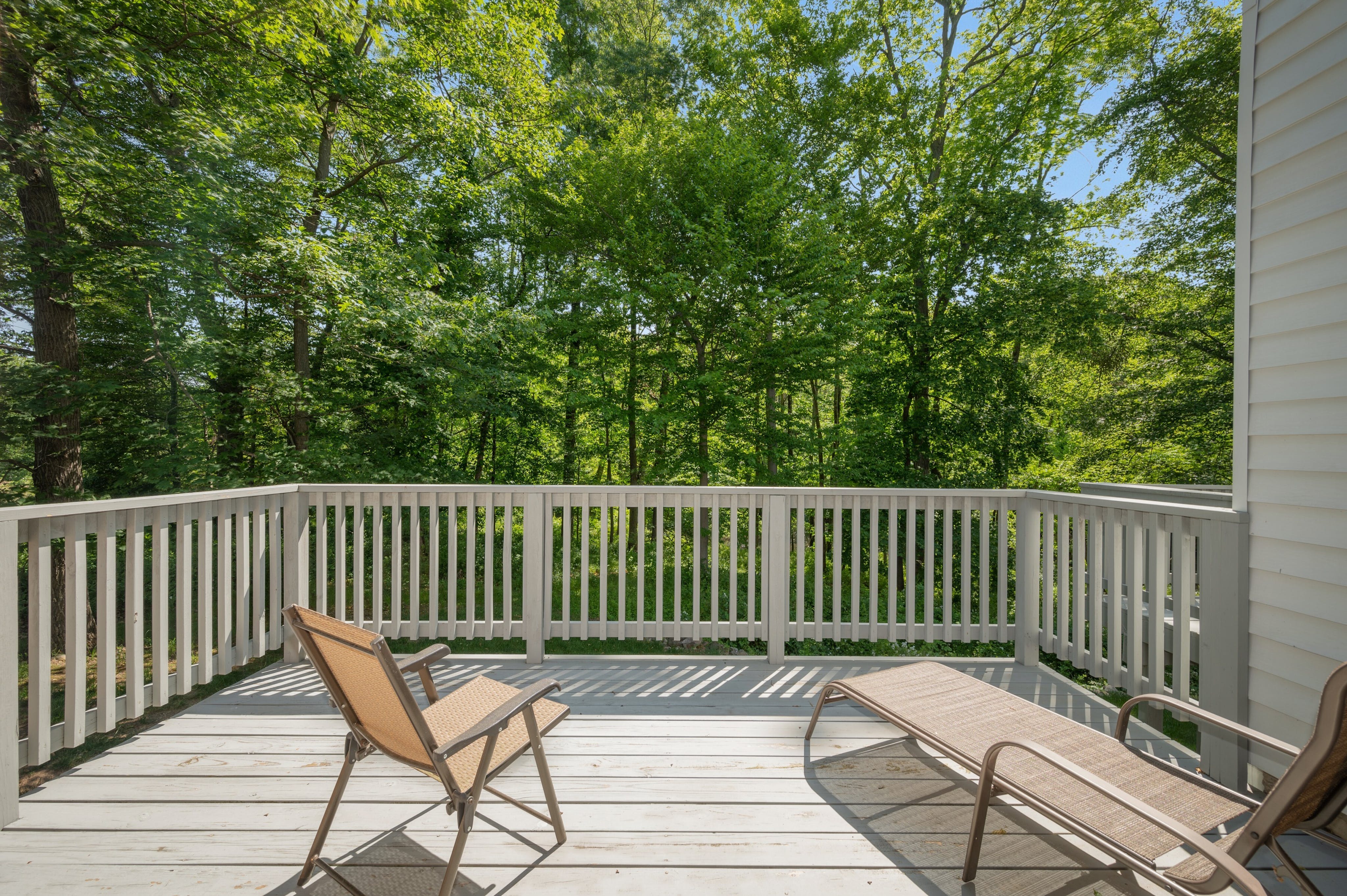 40 Coachlight Drive 