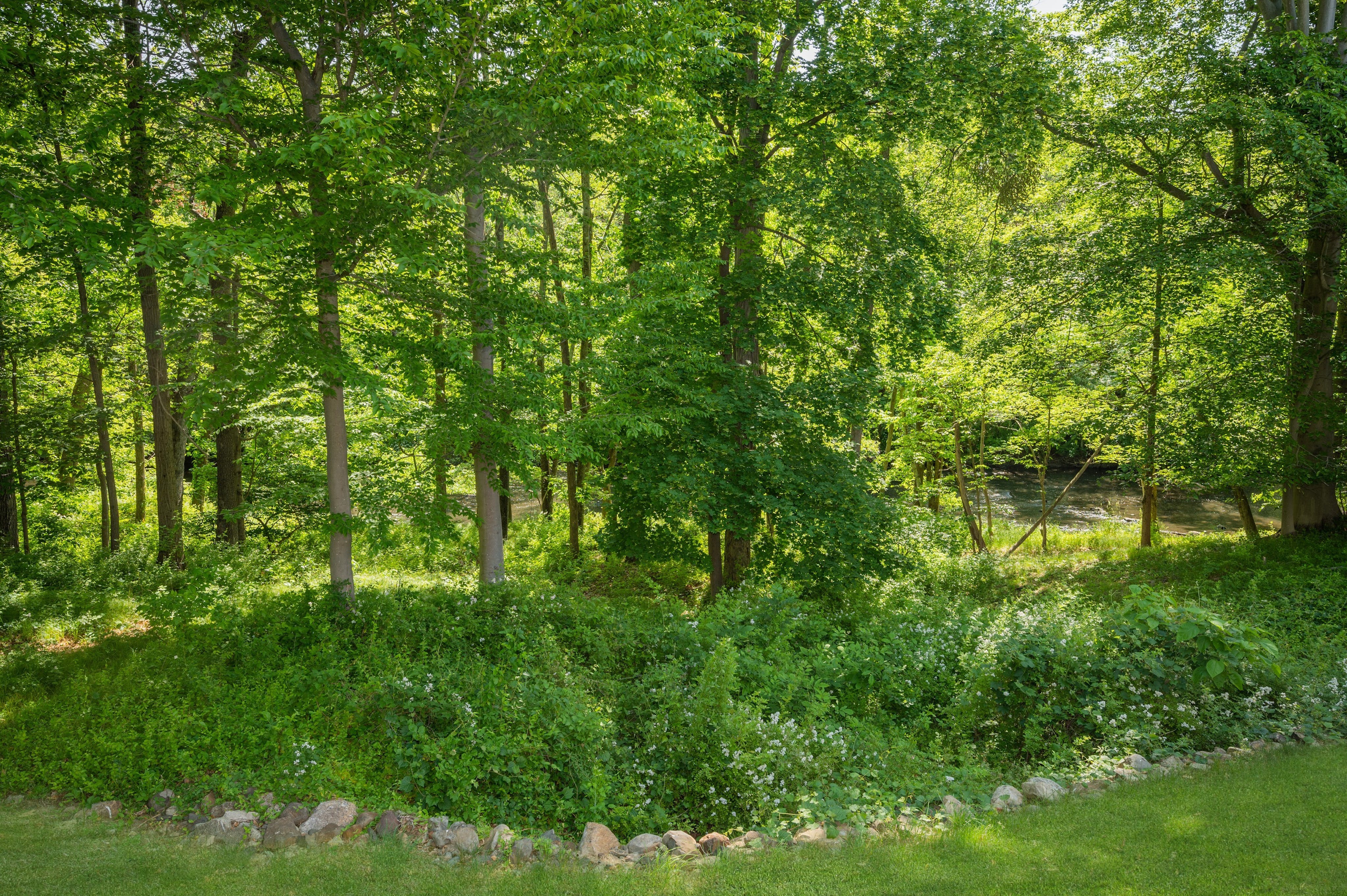 40 Coachlight Drive 