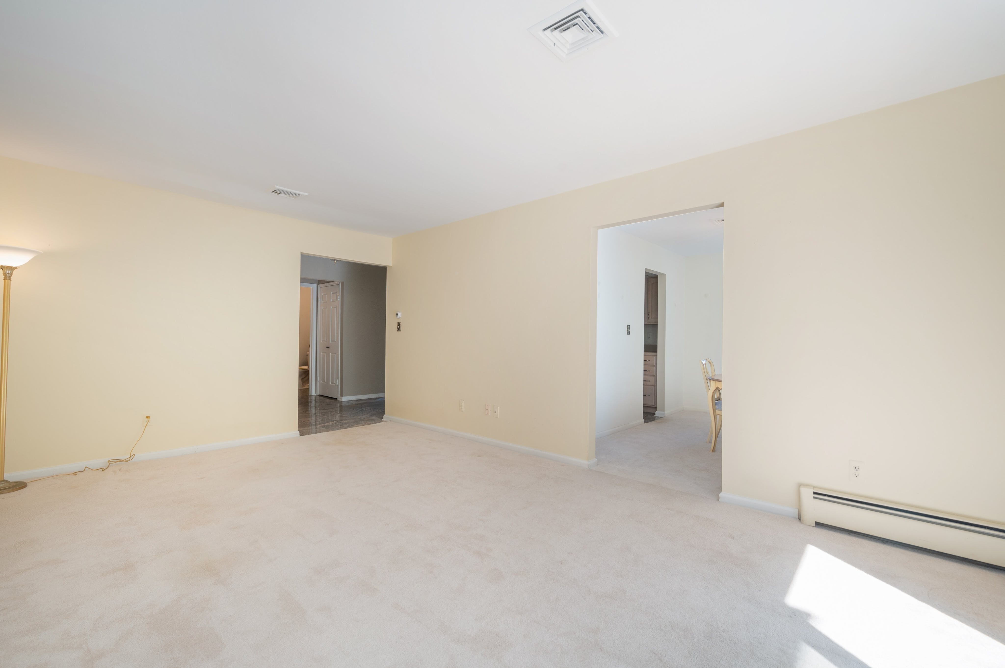 40 Coachlight Drive 