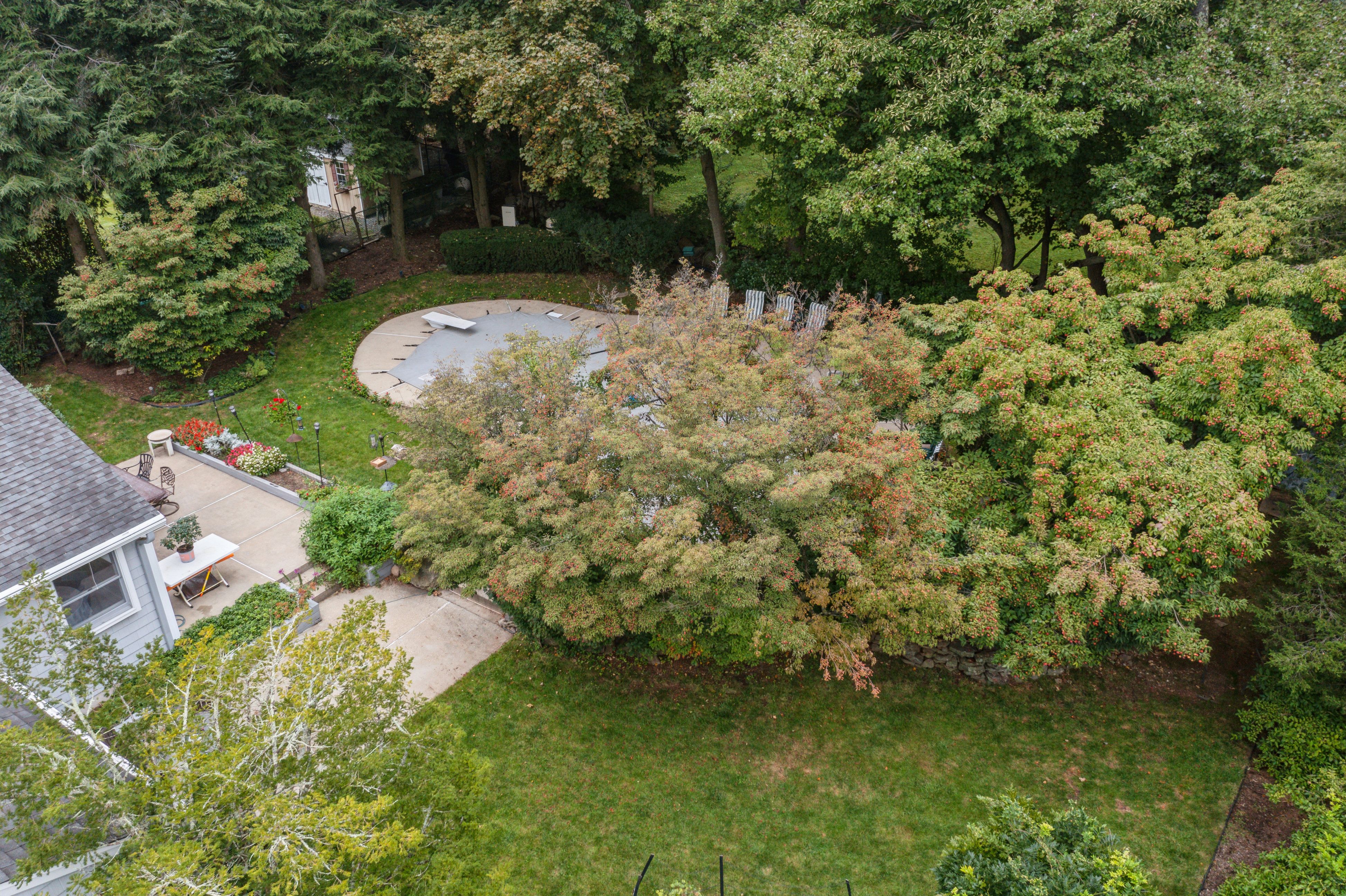 255 Orchard Drive 