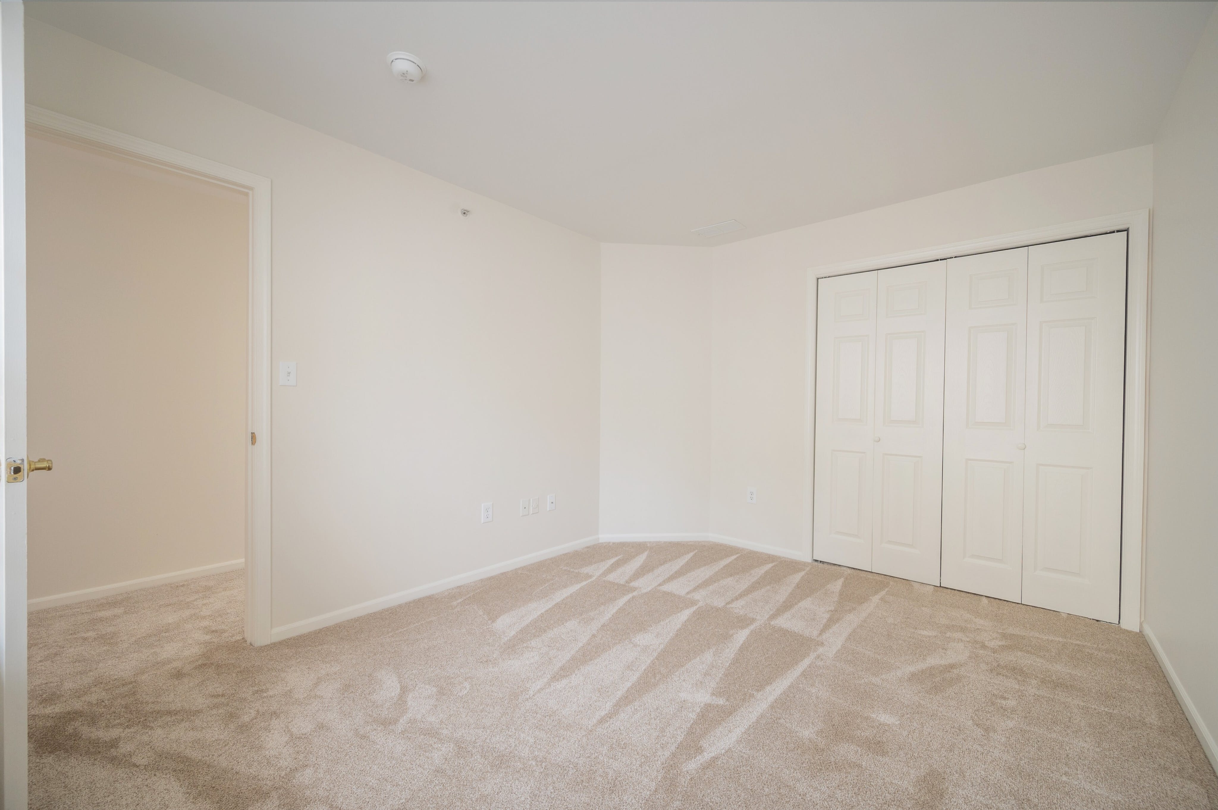 56 Springholm Drive 
