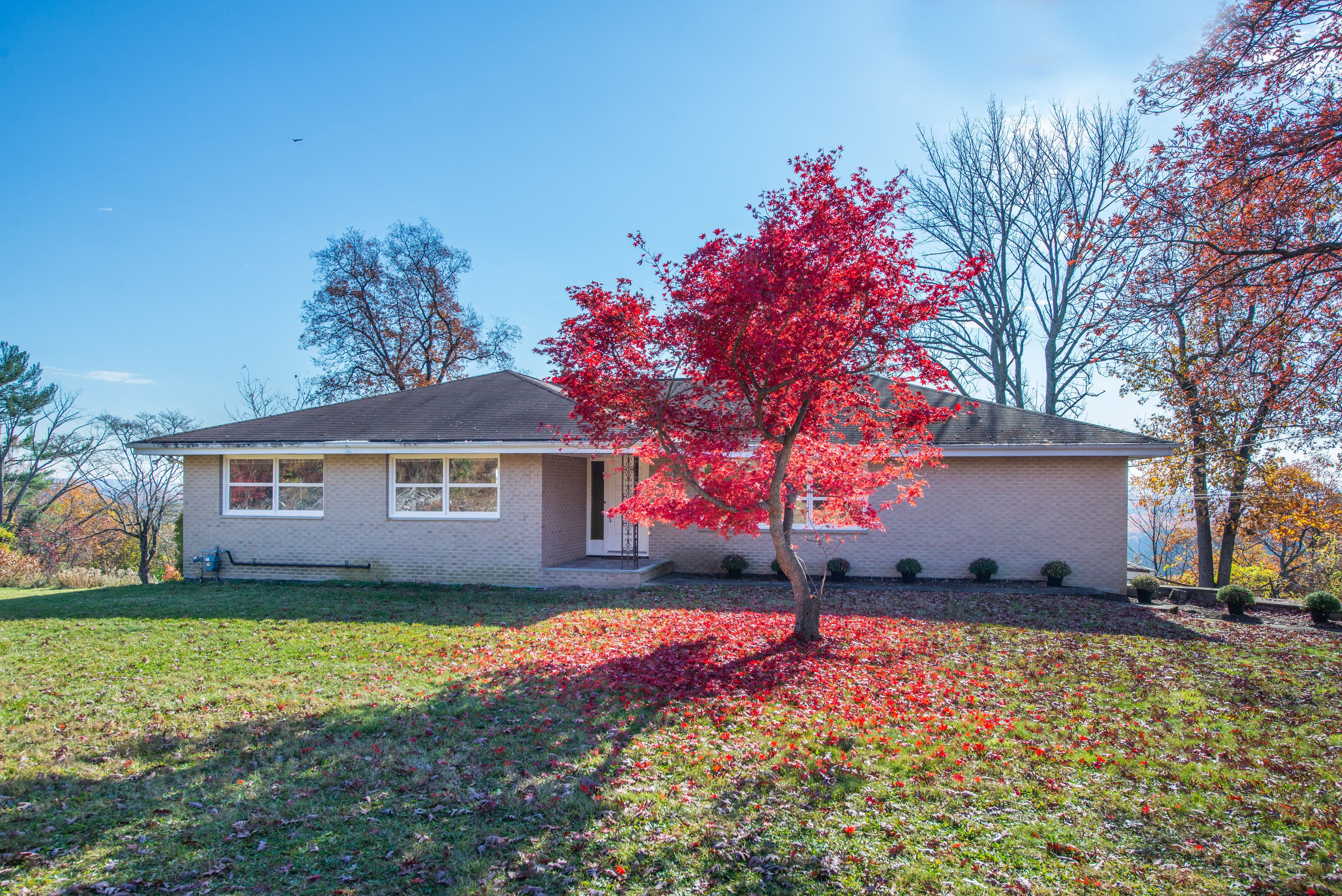 18 Roome Road 