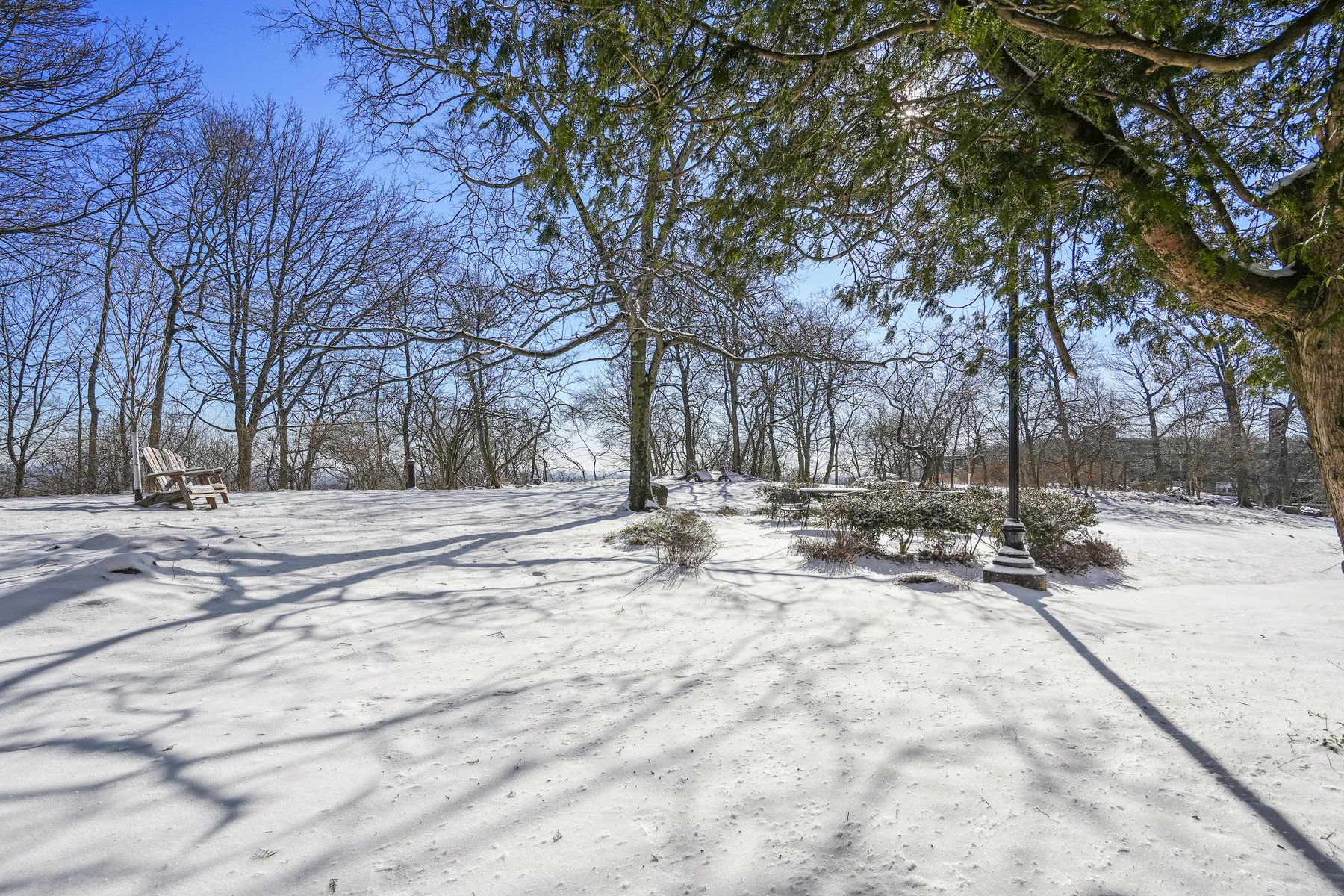 10 Crestmont Rd 1b Unit# 1B