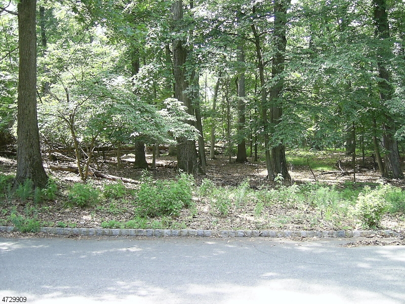 177 Deer Run