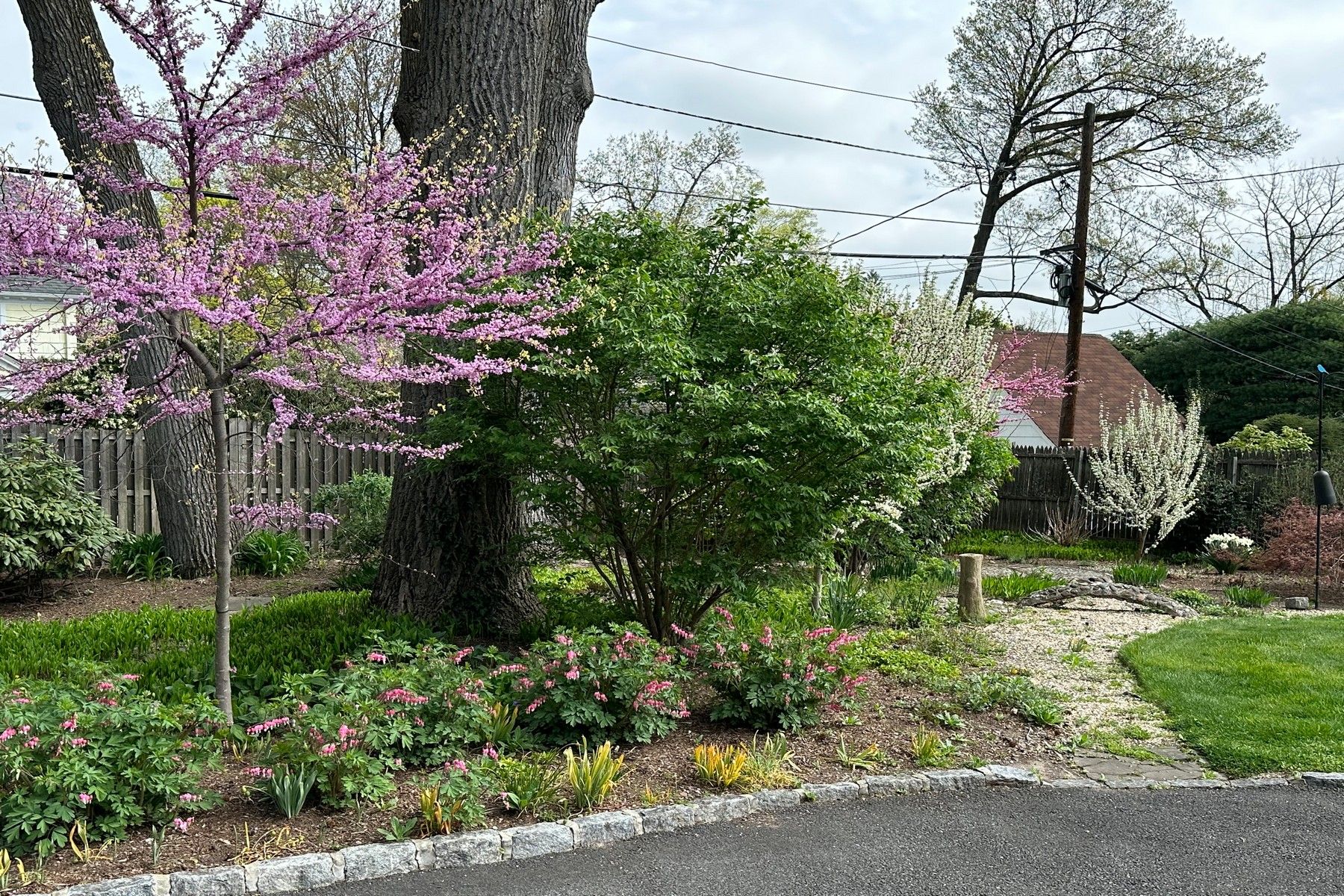 95 Haddon Place