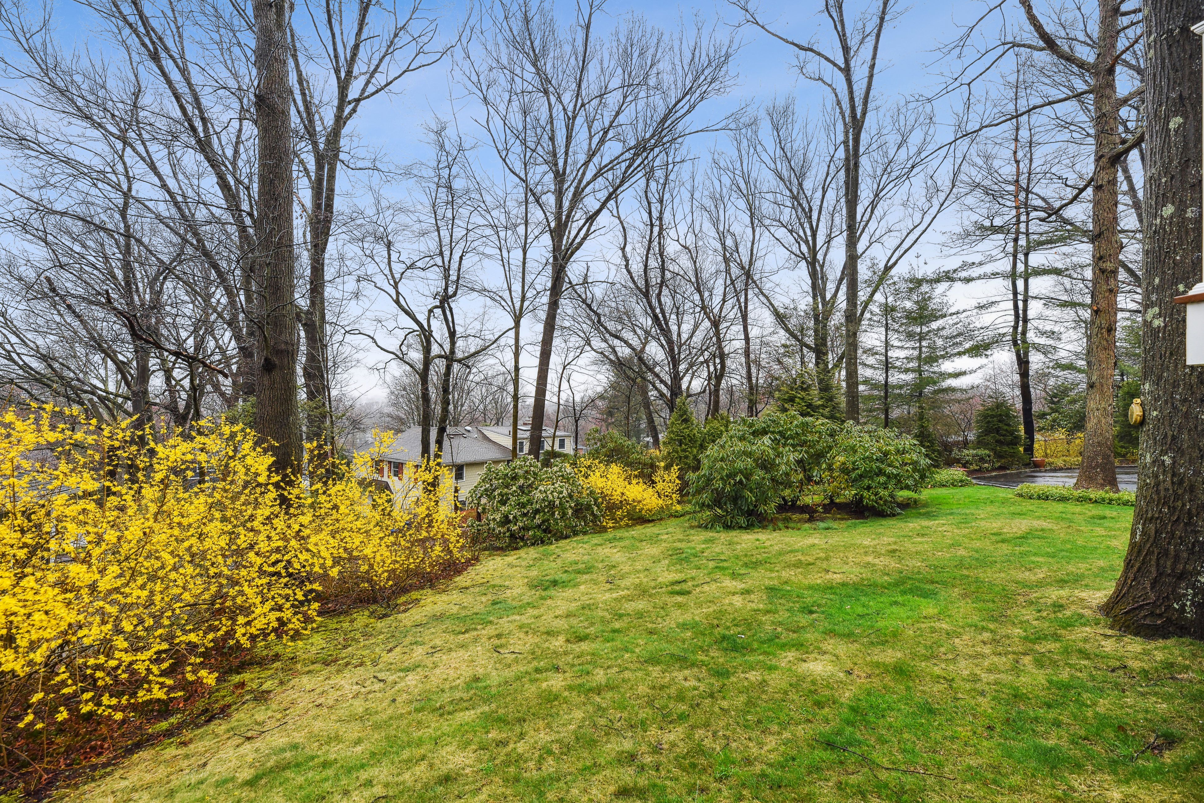 39 Ramsey Drive 