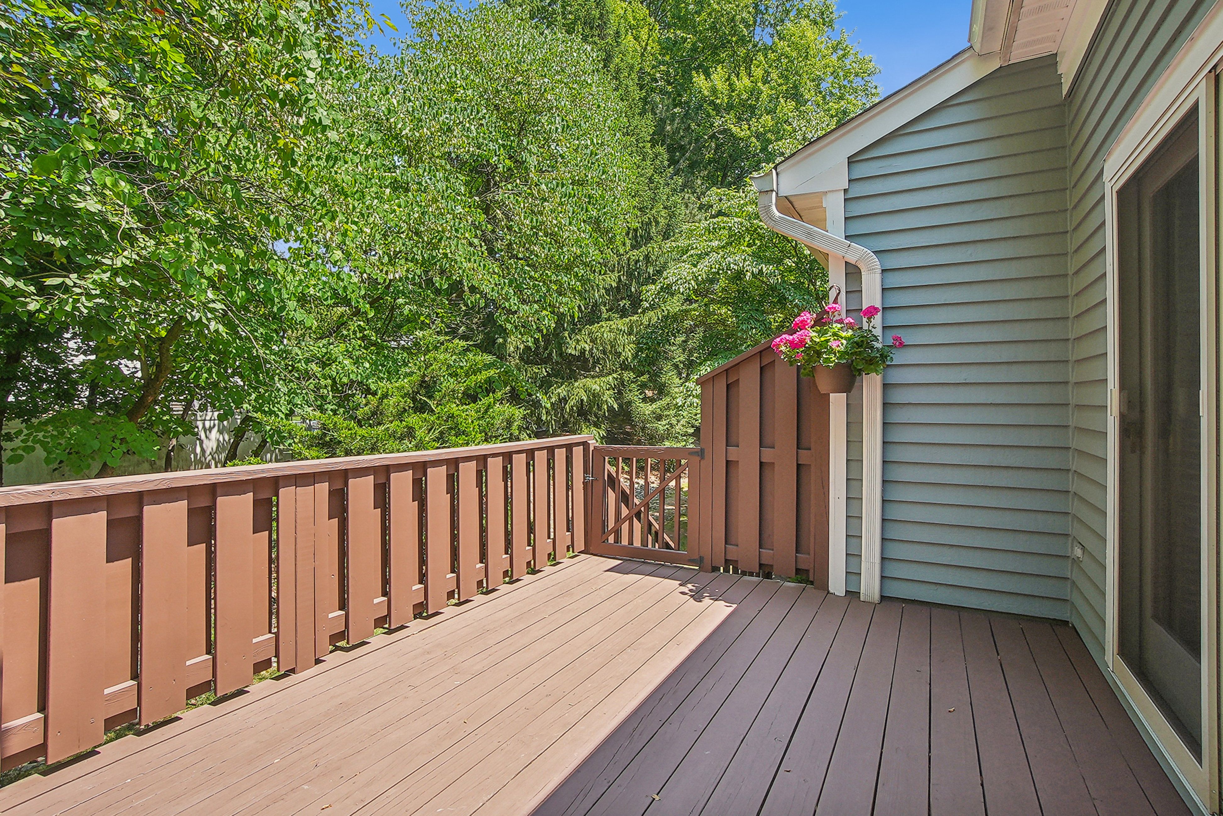 46 Meadowview Lane 