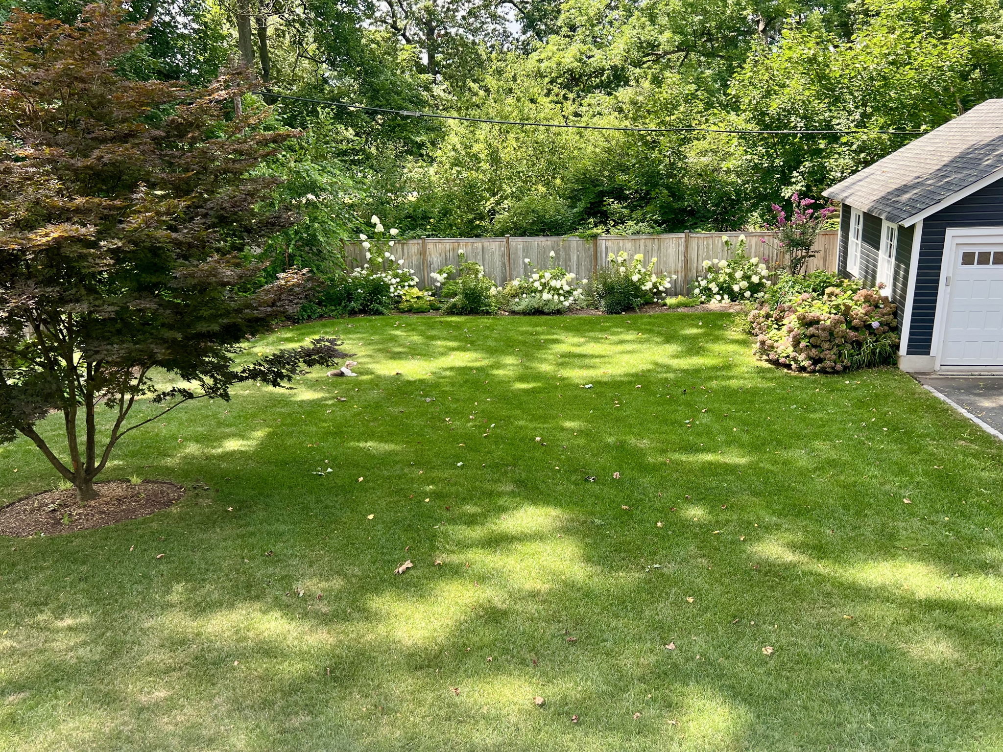 58 Montclair Avenue 