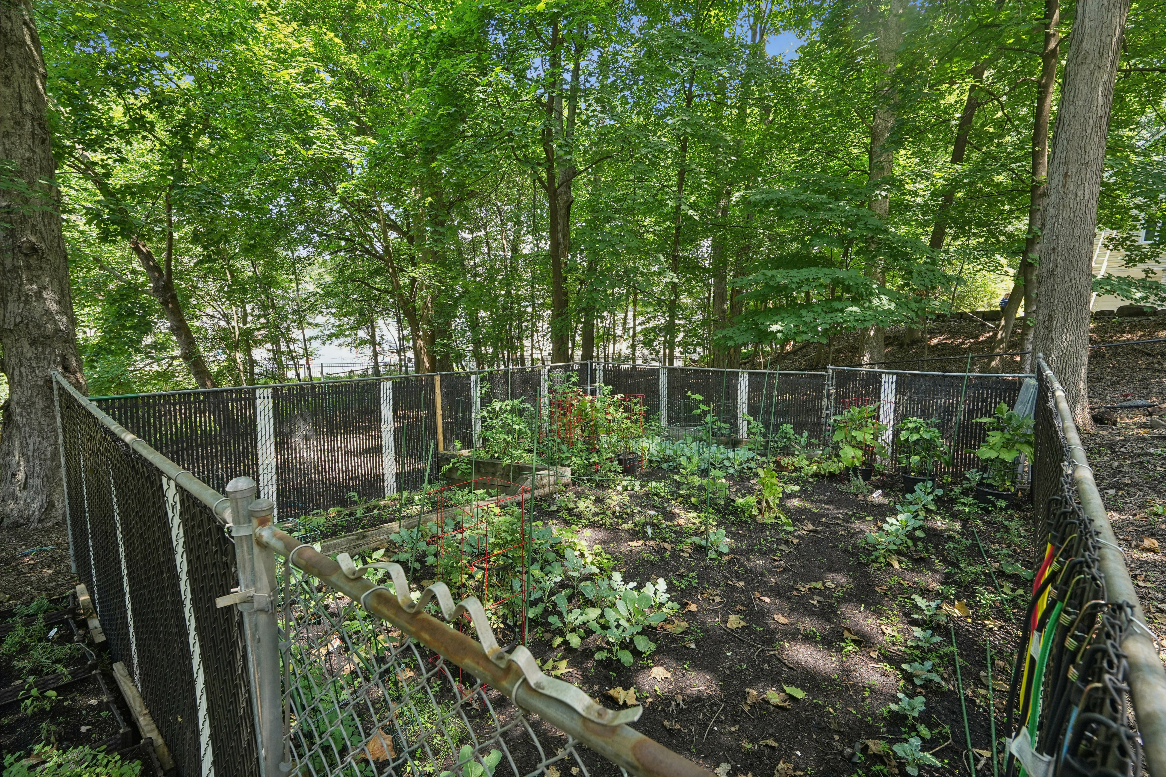 15 Barberry Way 