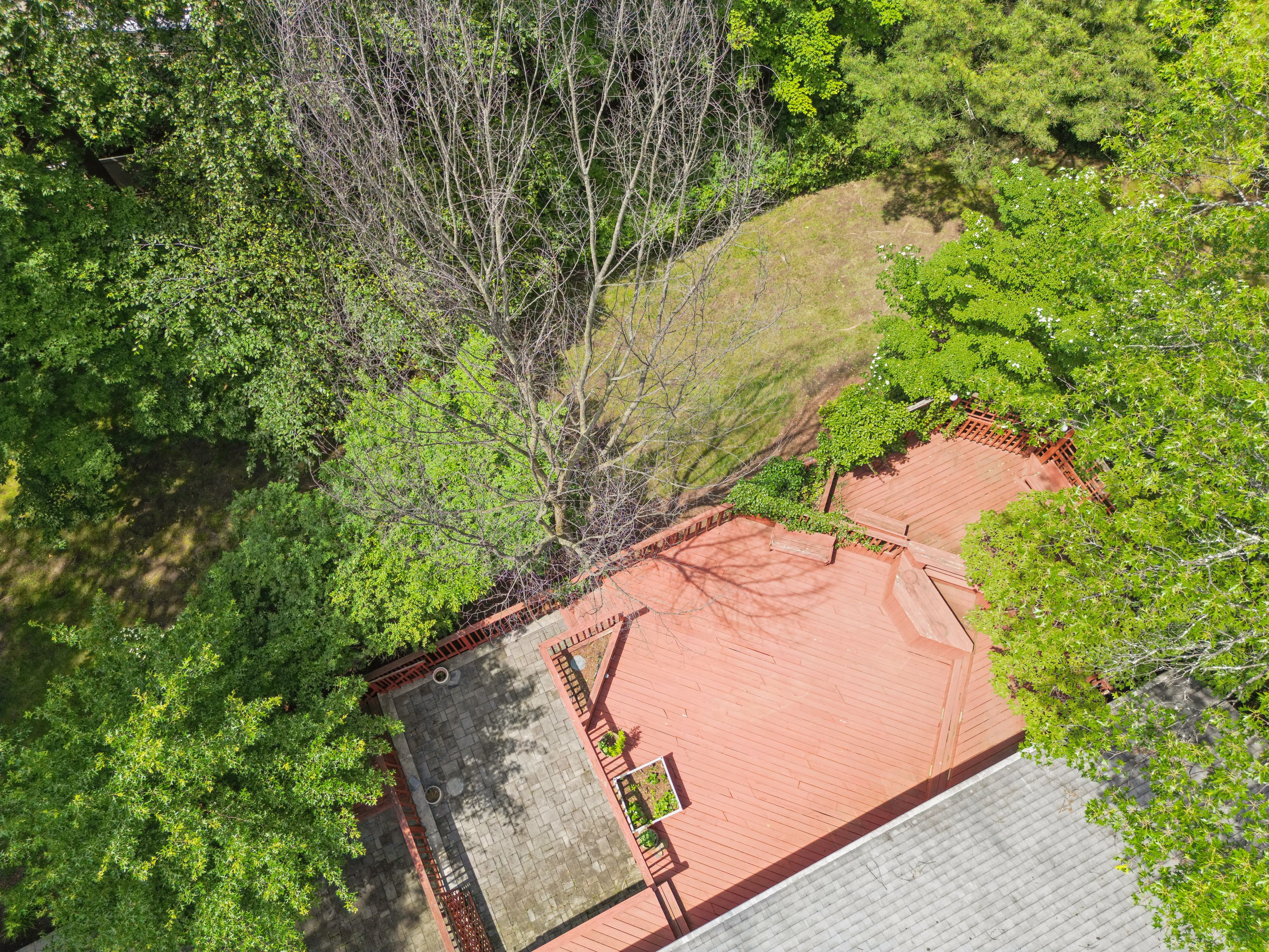 27 Cornell Drive 