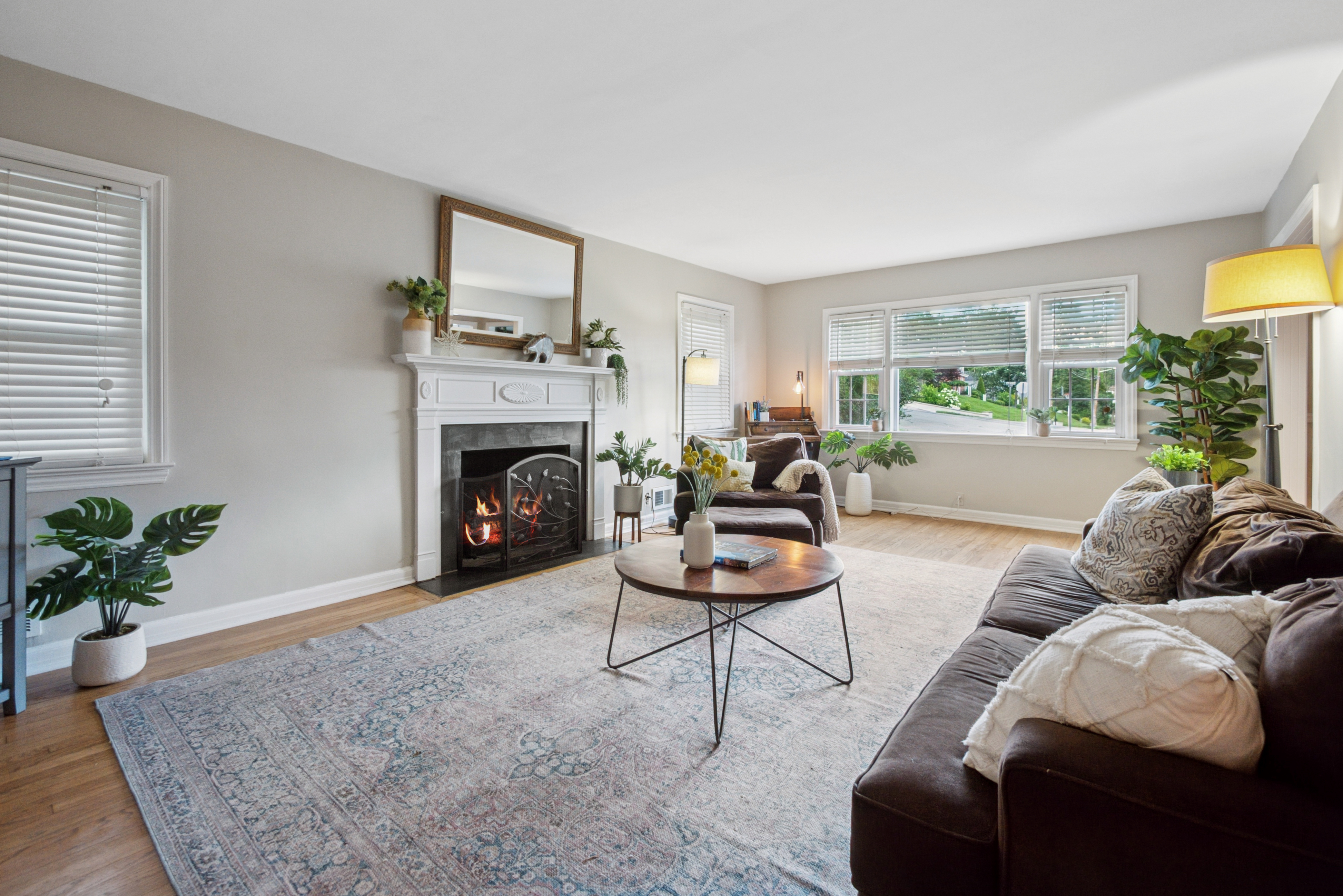 164 Forest Hill Road 