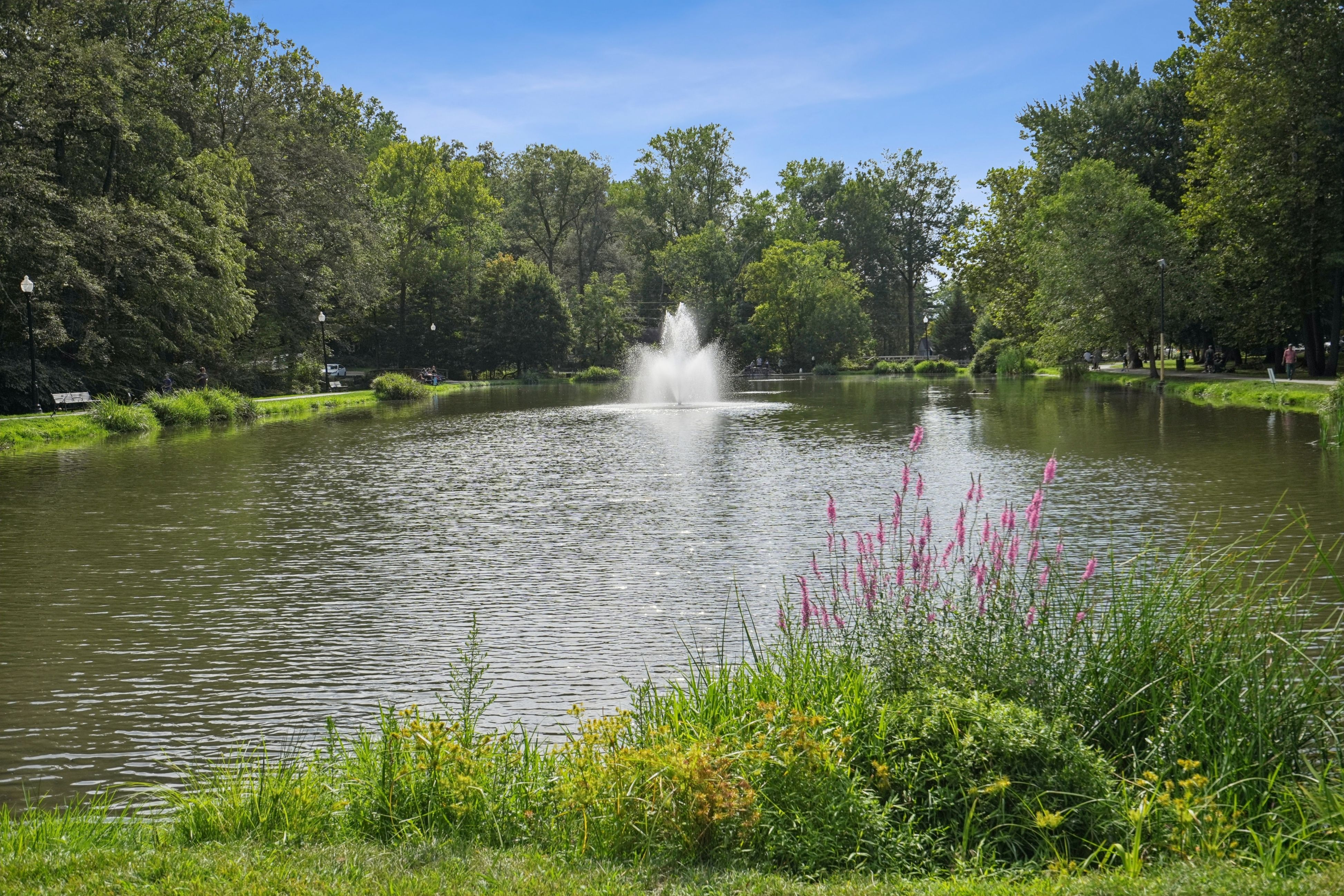 87 Roseland Avenue #91 