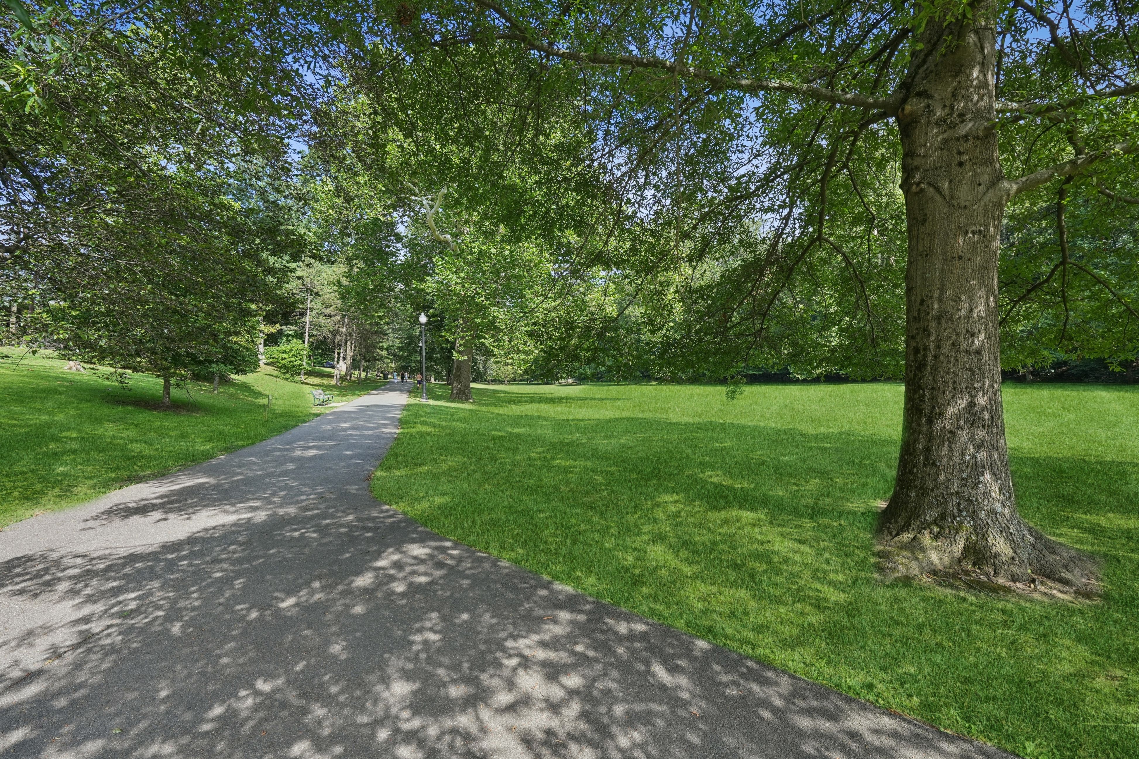 87 Roseland Avenue #91 