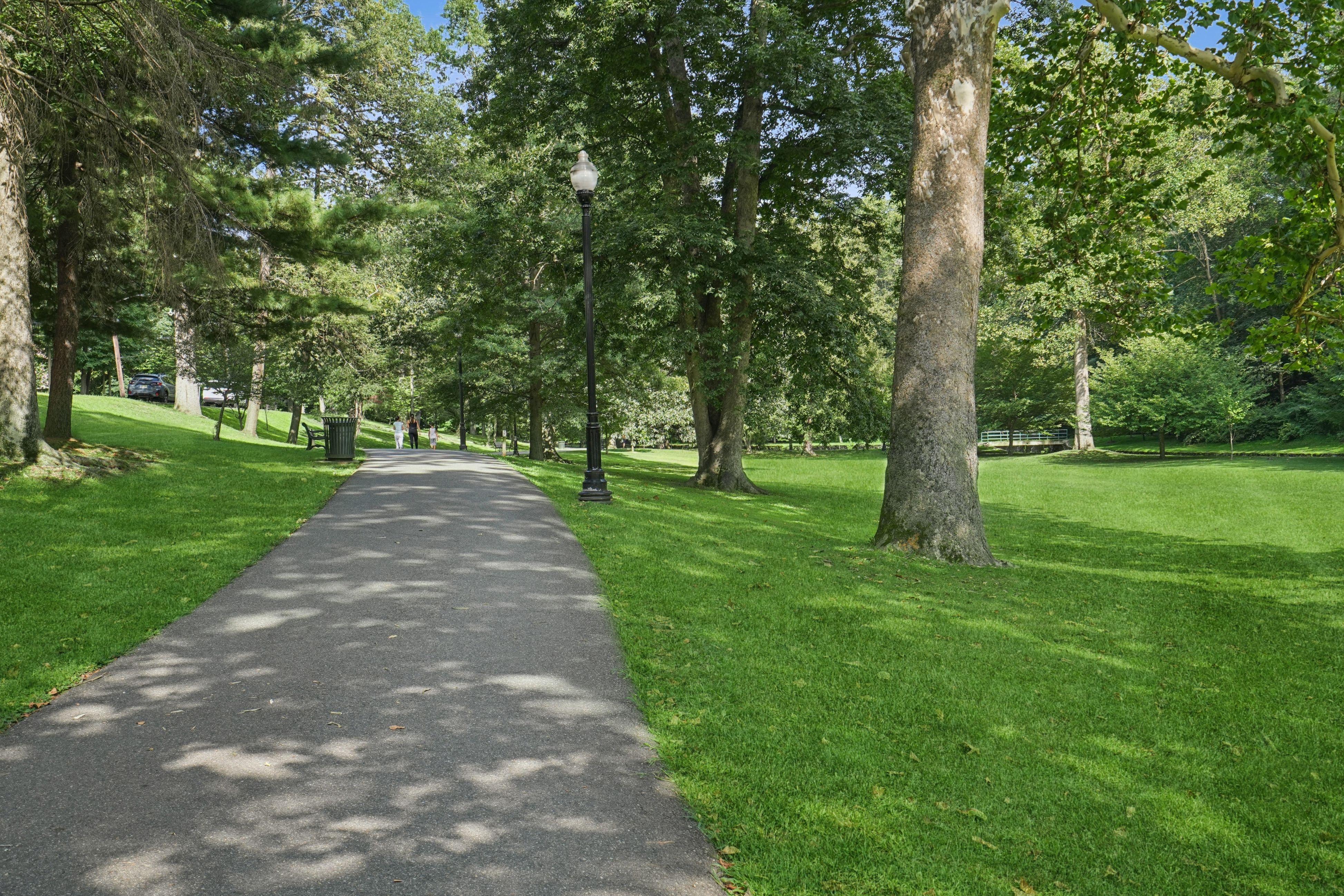 87 Roseland Avenue #91 