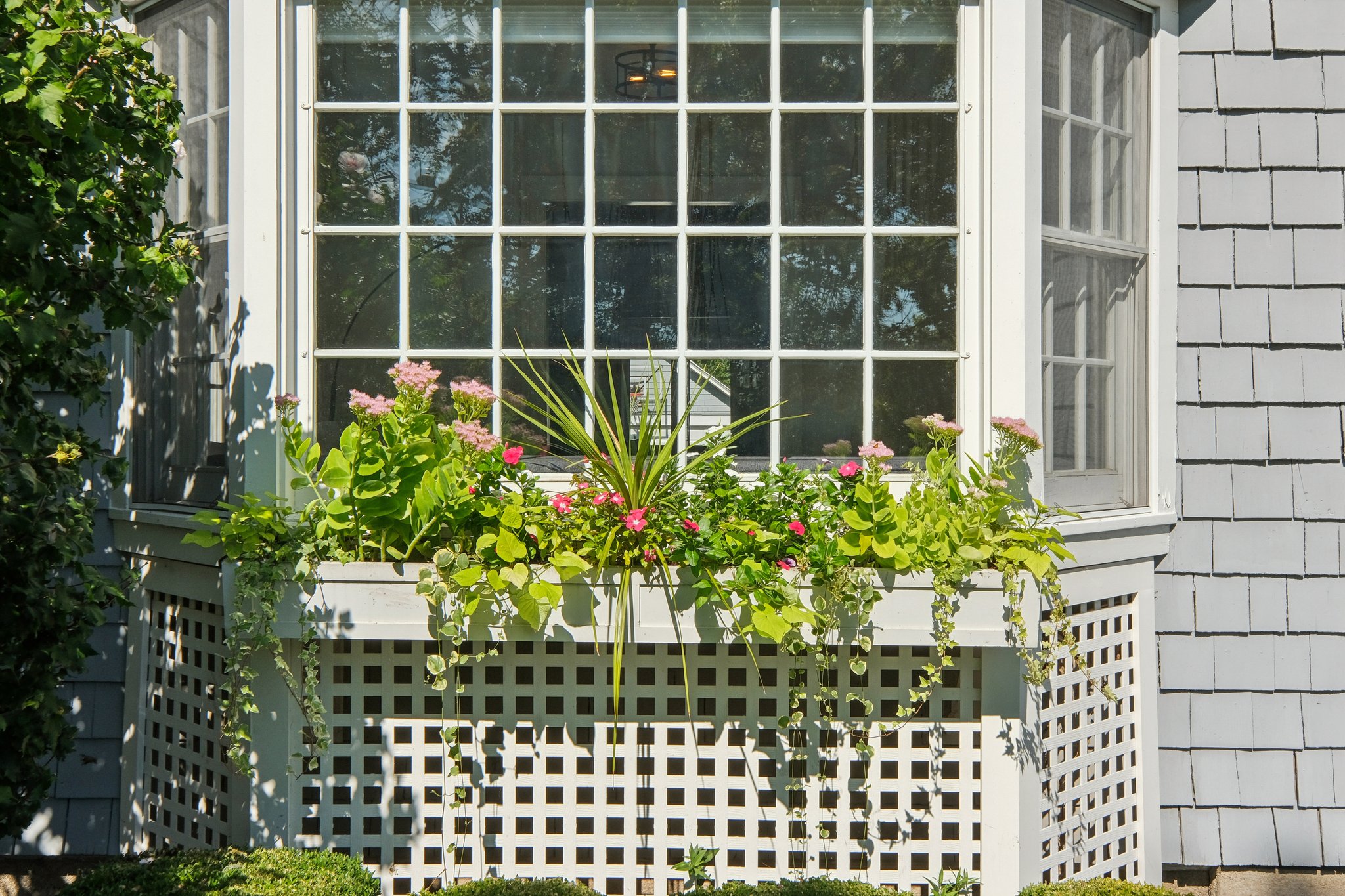 17 Parkway 