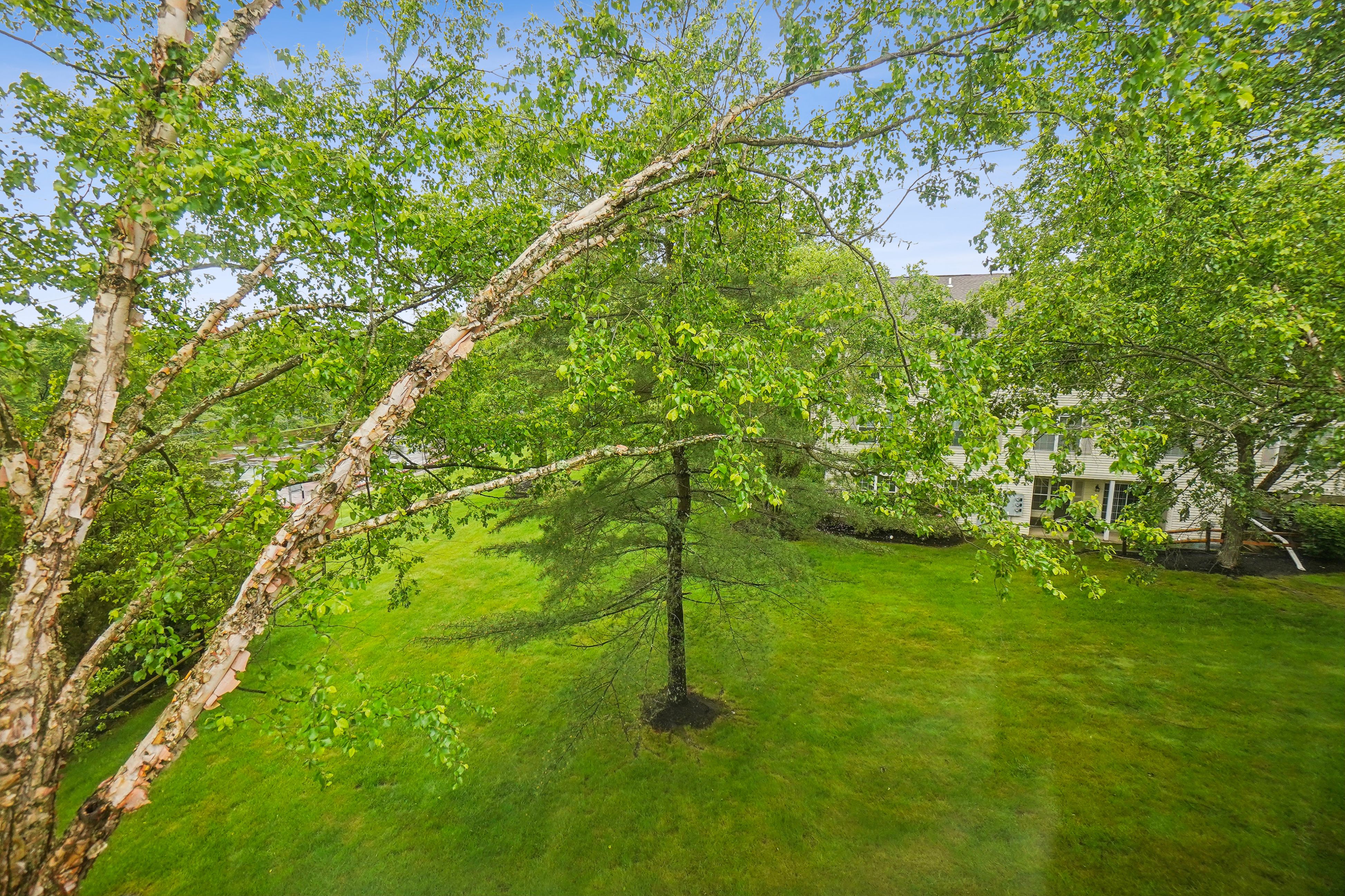 103 Potomac Drive 