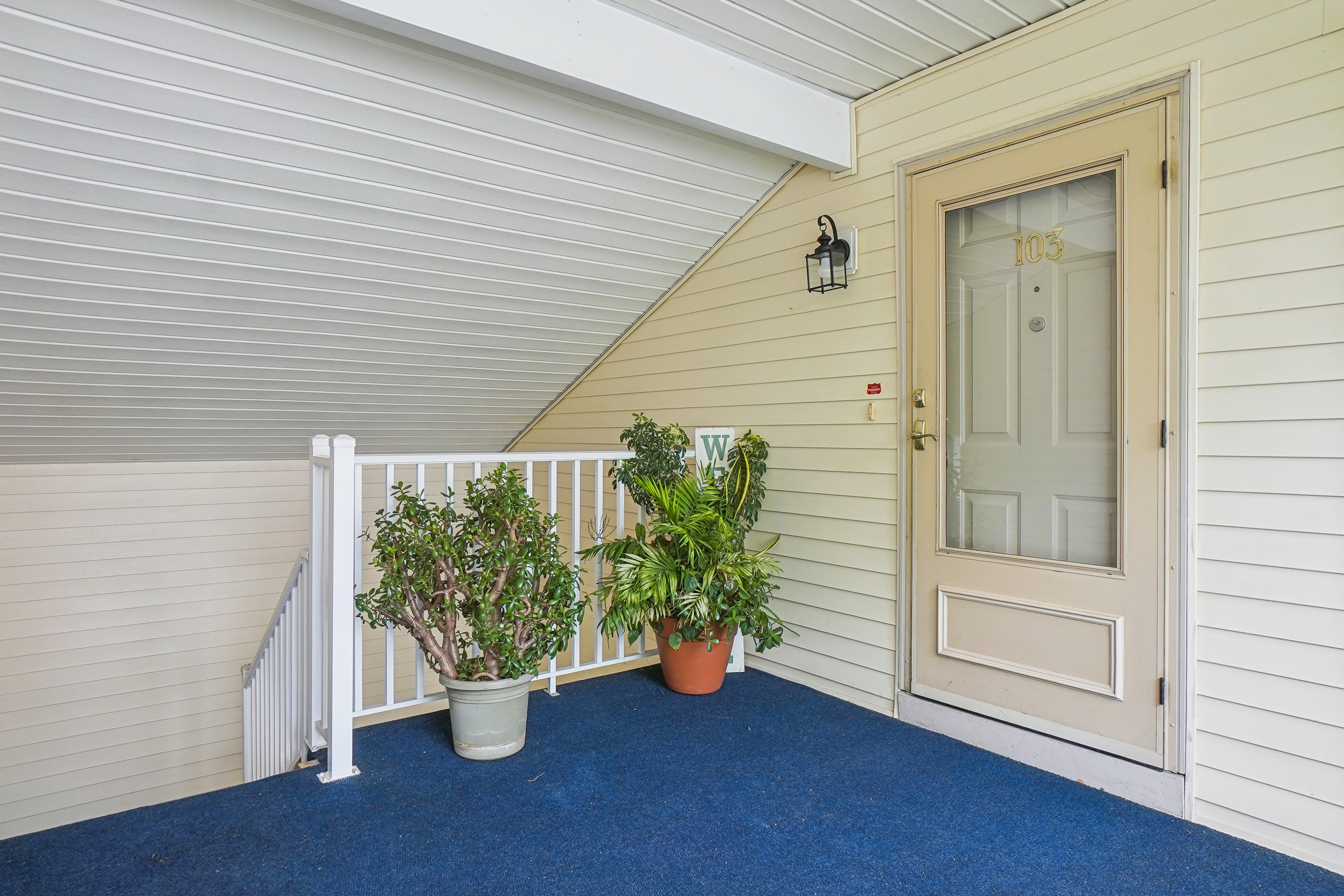 103 Potomac Drive 