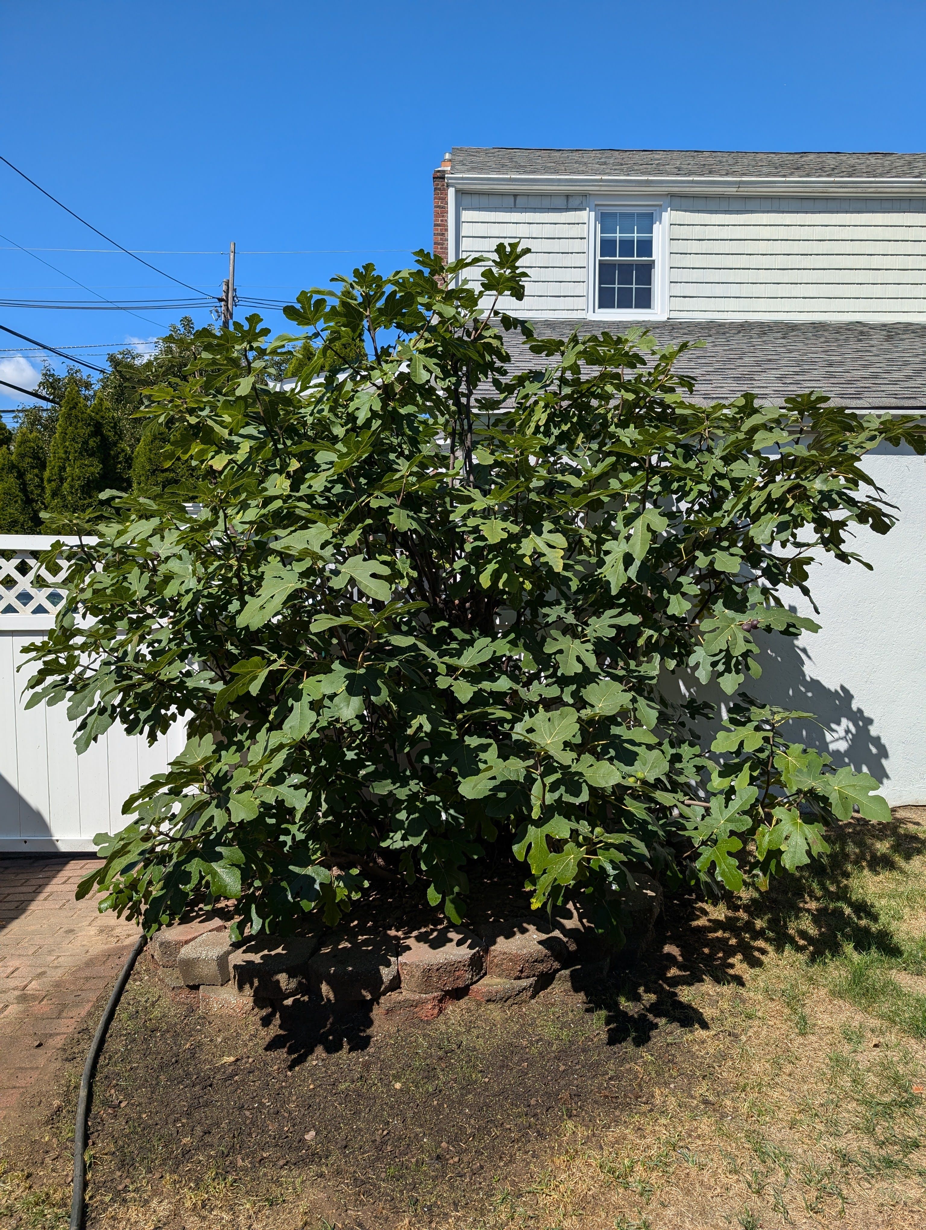 612 Passaic Avenue 