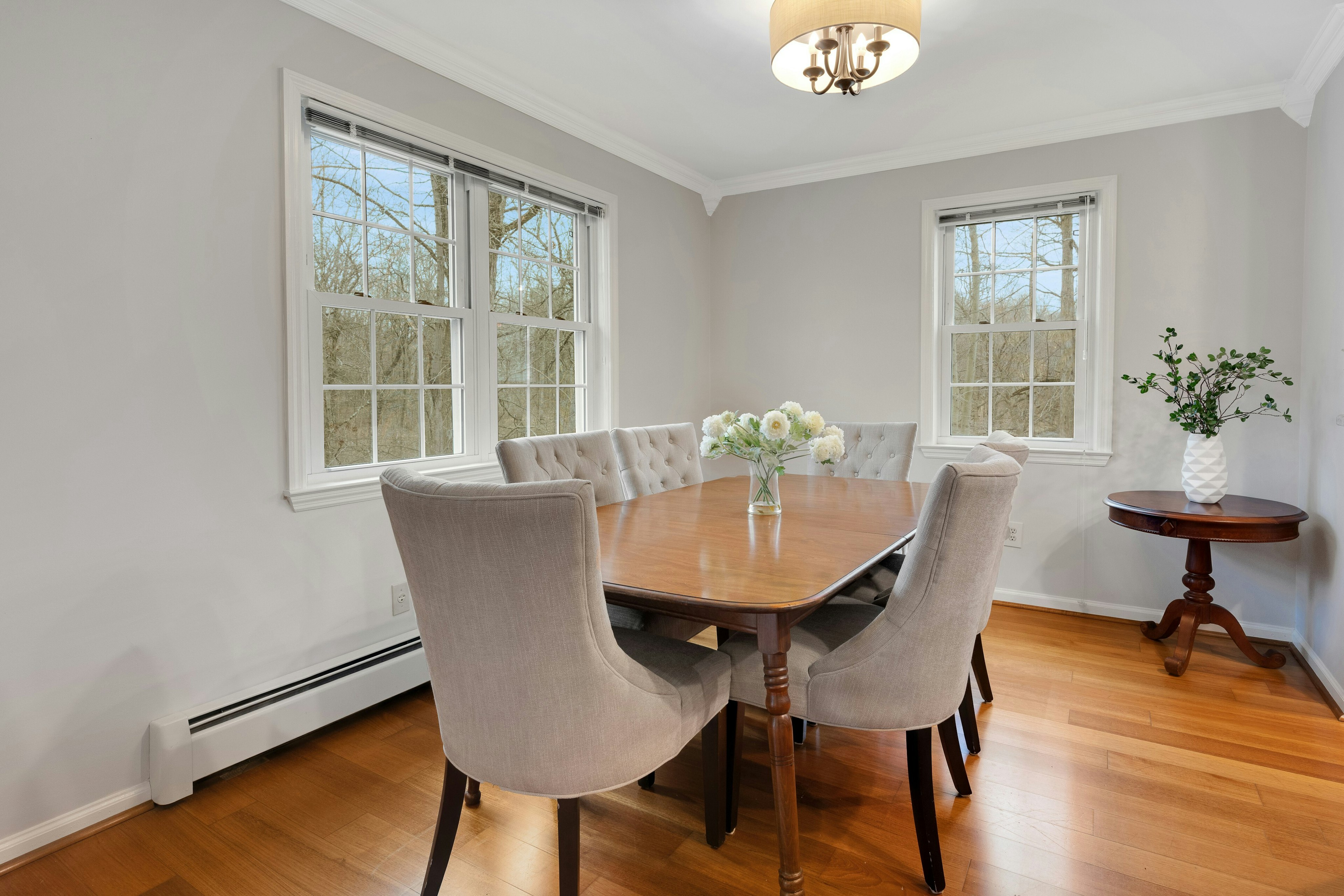 30 Coachlight Drive 