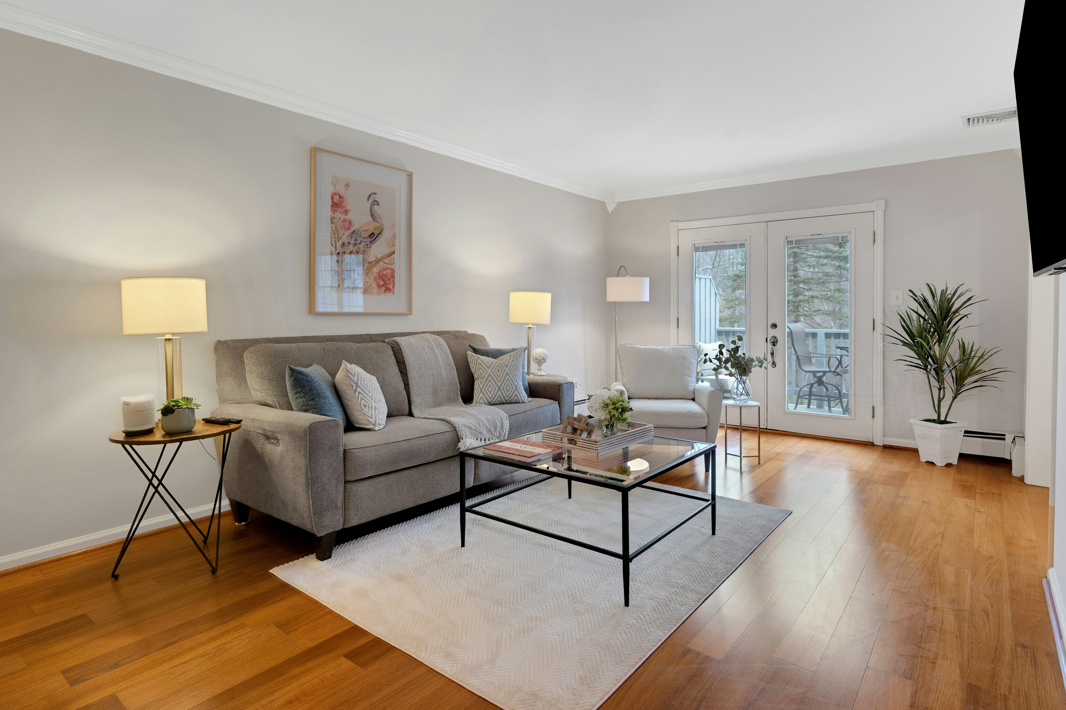 30 Coachlight Drive 