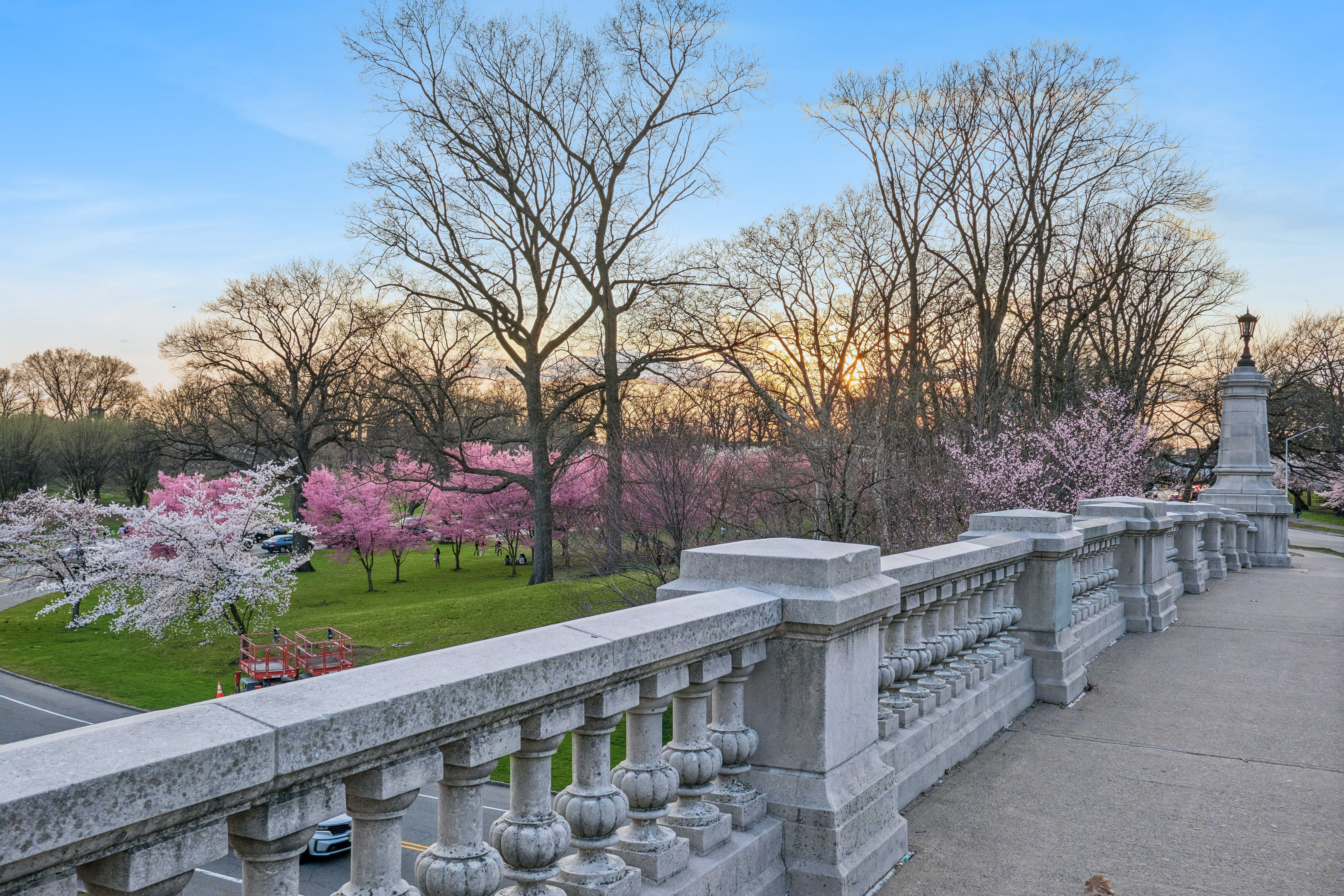 363-377 Mount Prospect Avenue 