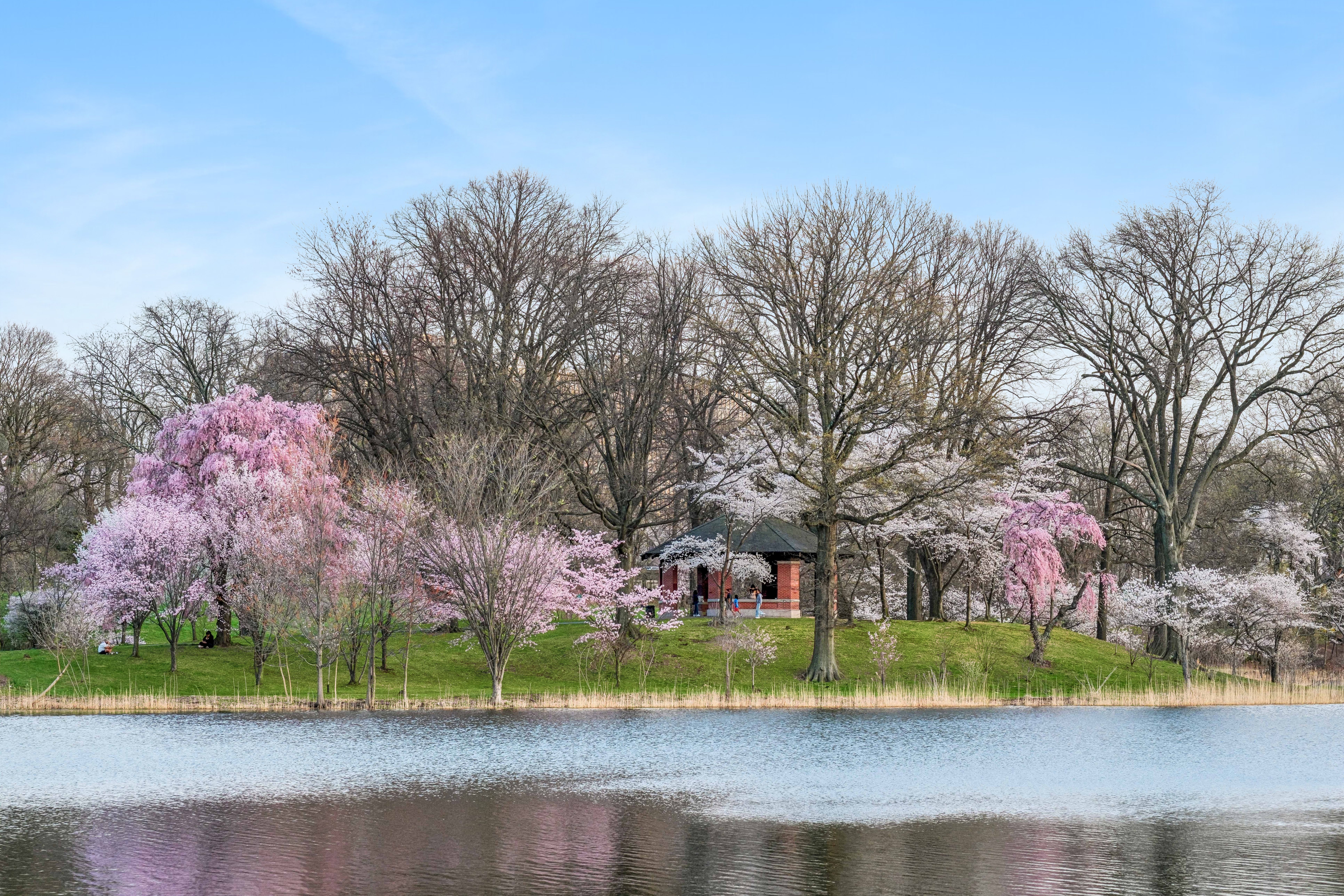 363-377 Mount Prospect Avenue 