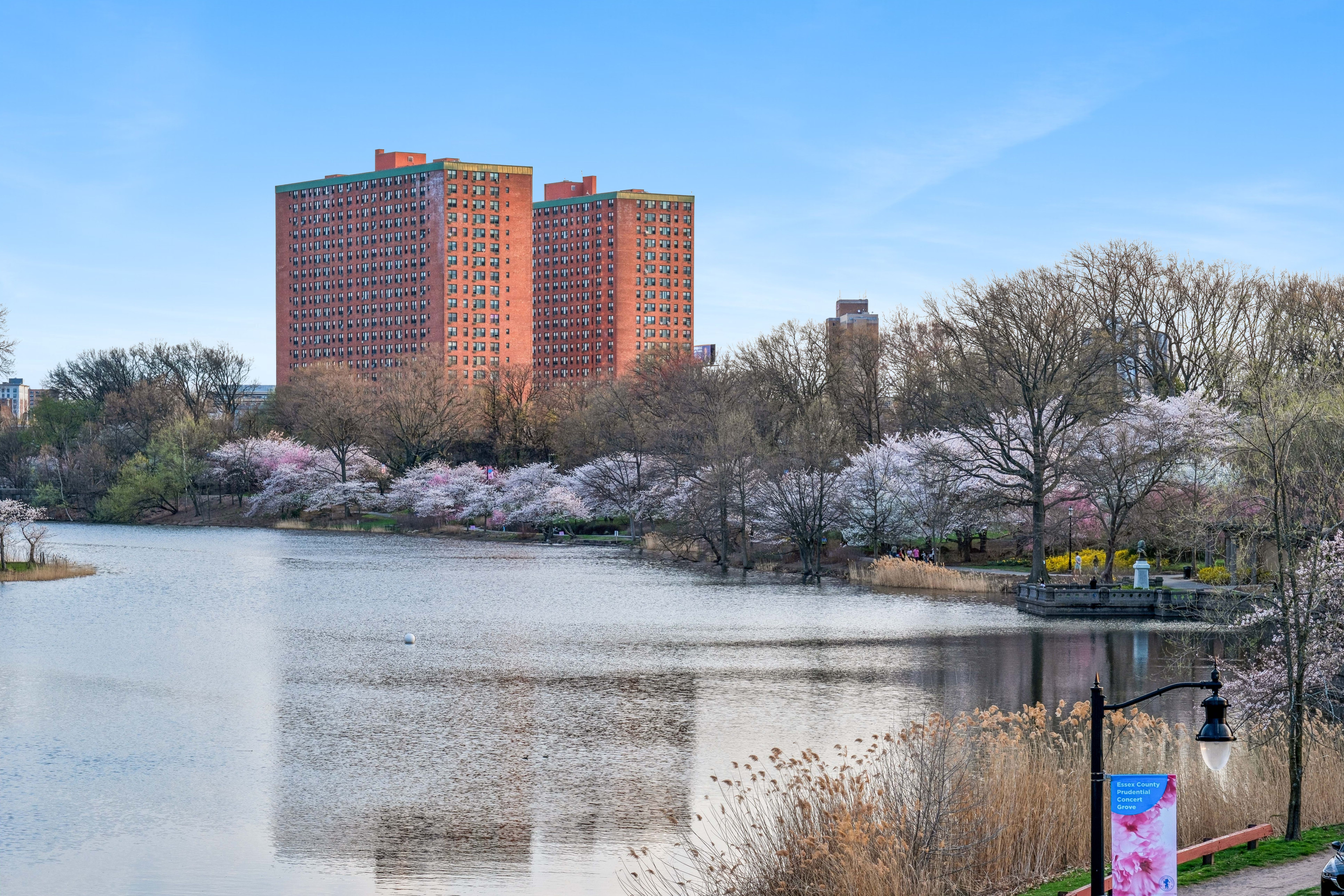 363-377 Mount Prospect Avenue 