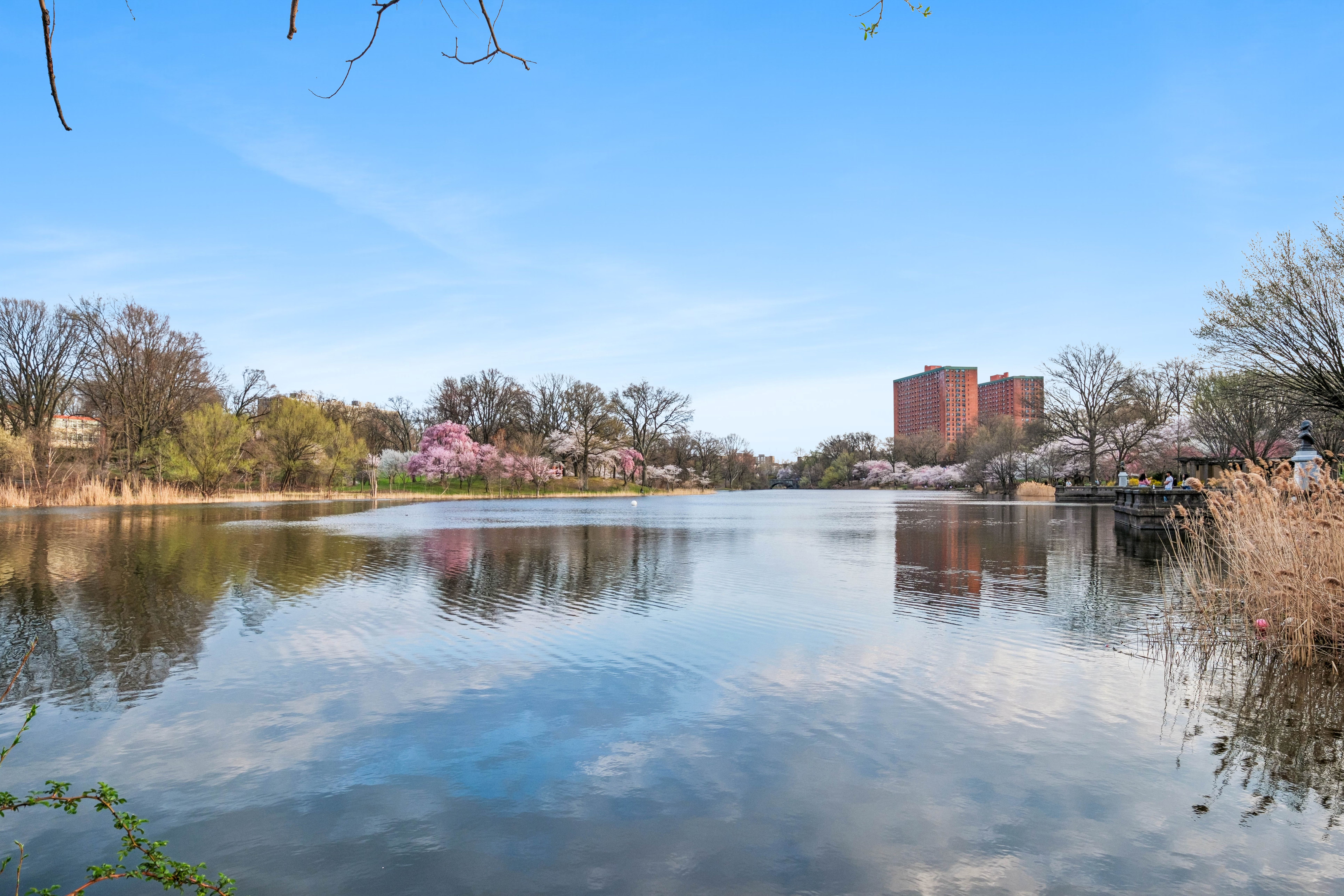 363-377 Mount Prospect Avenue 