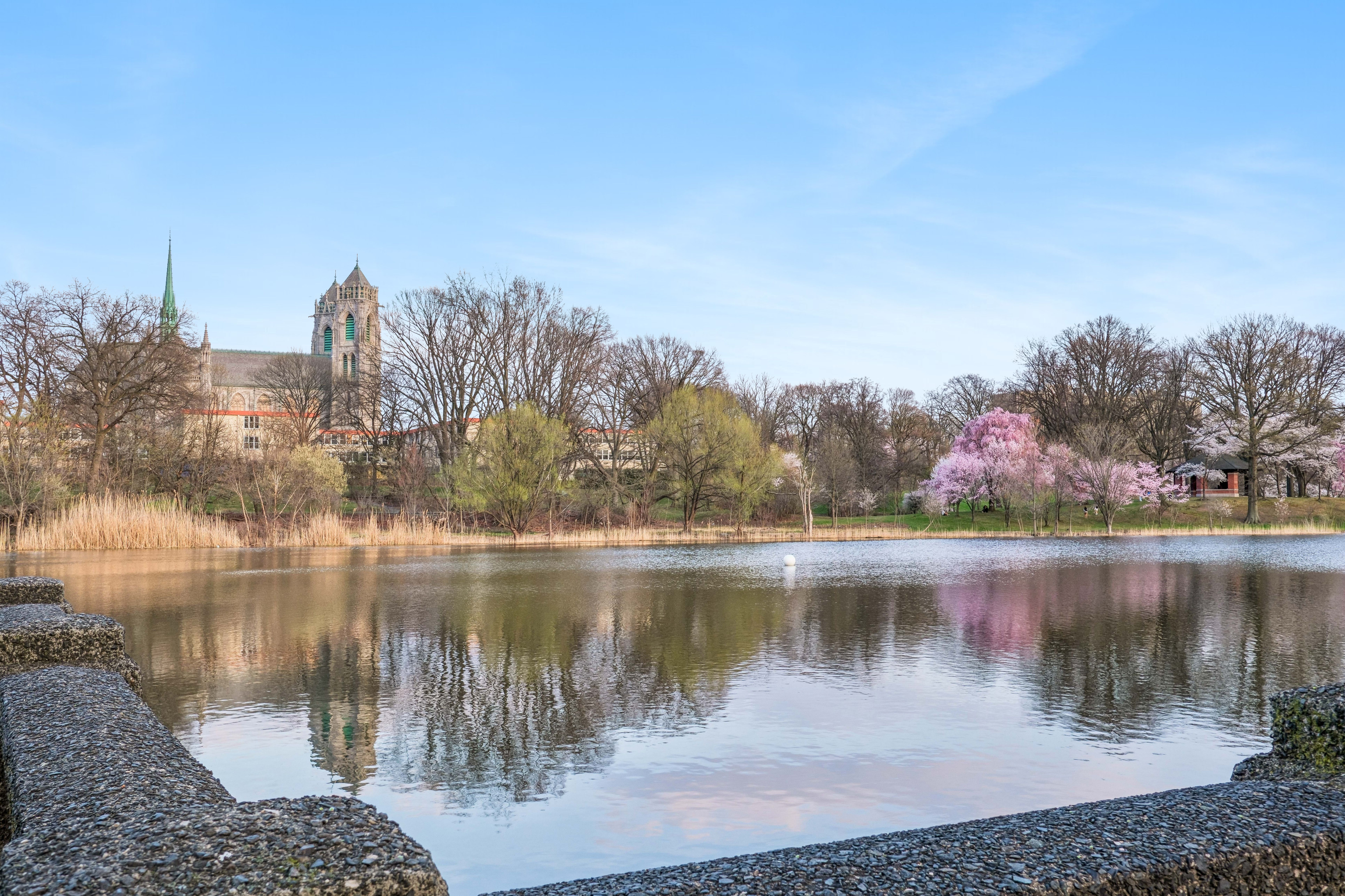 363-377 Mount Prospect Avenue 
