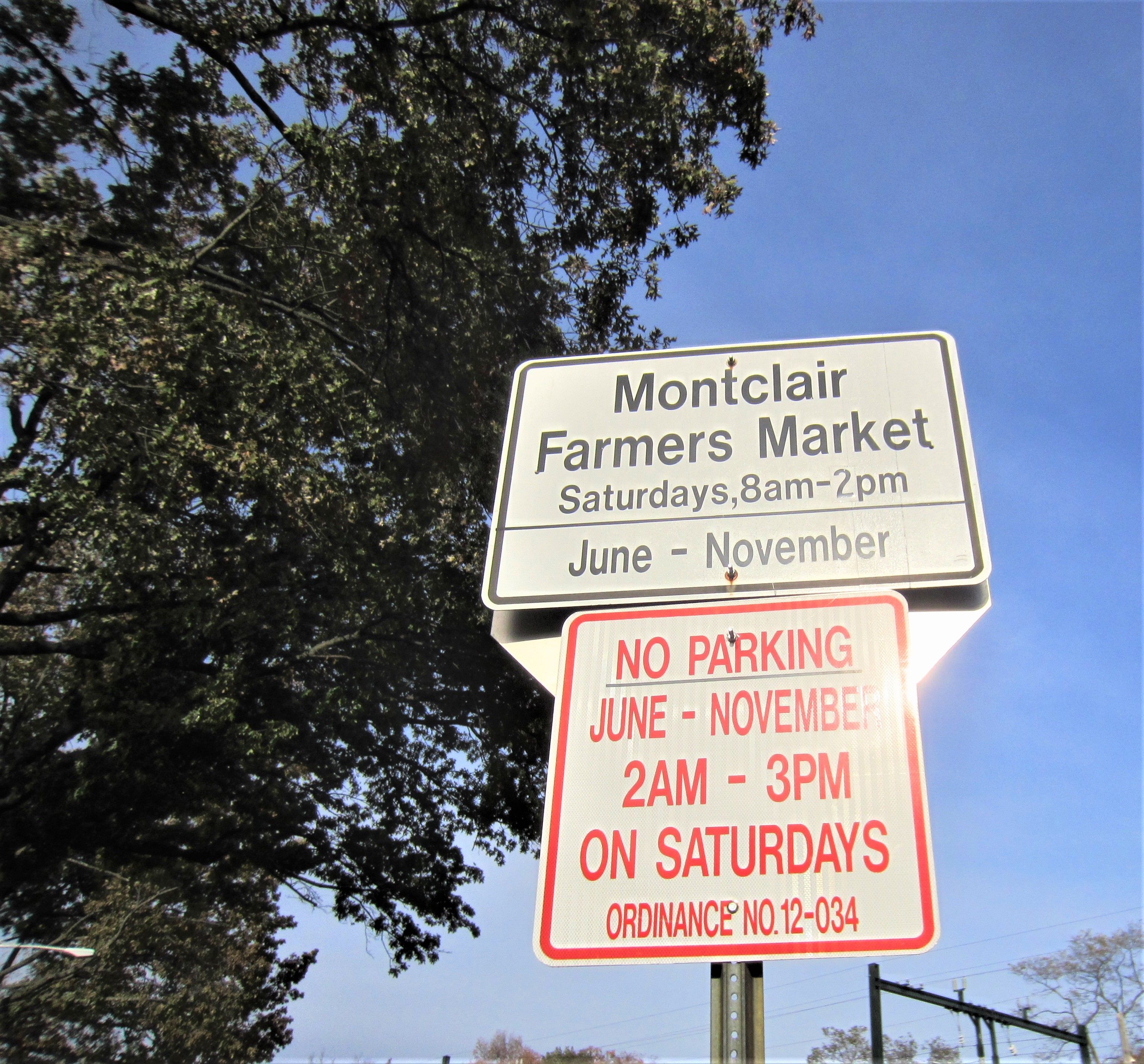 33 Montclair Avenue #2